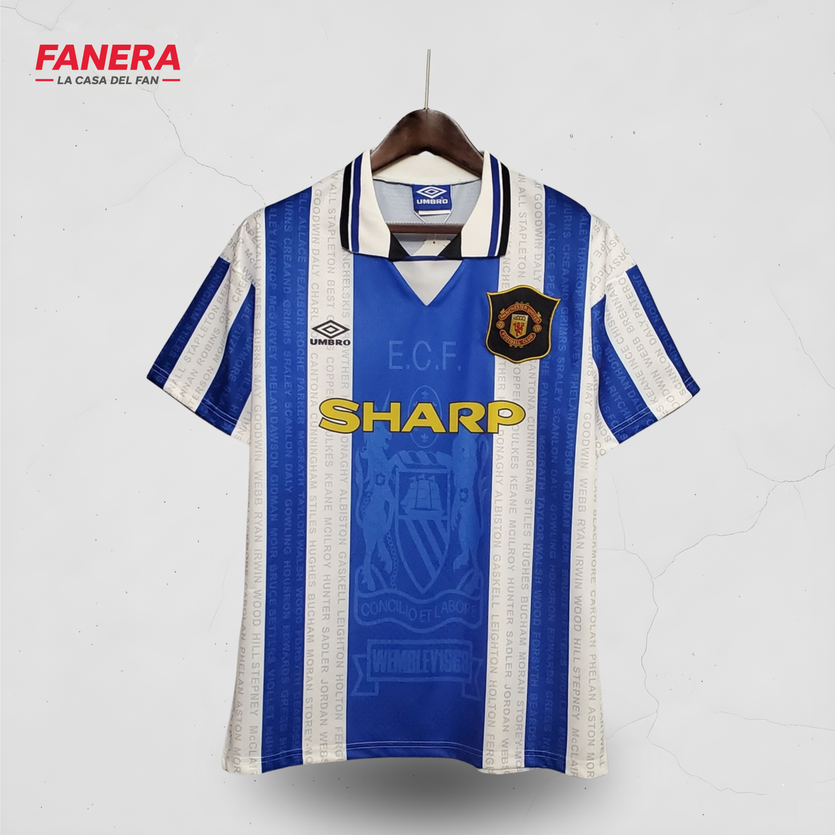 Manchester United Visita 94/95