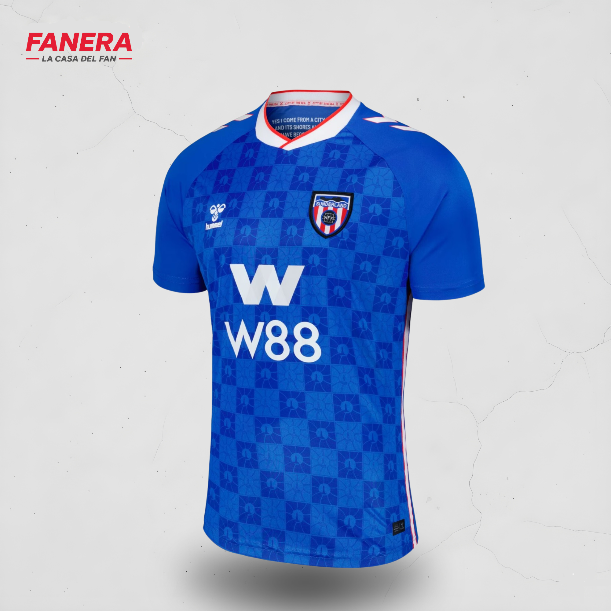 Sunderland Visita 25/26
