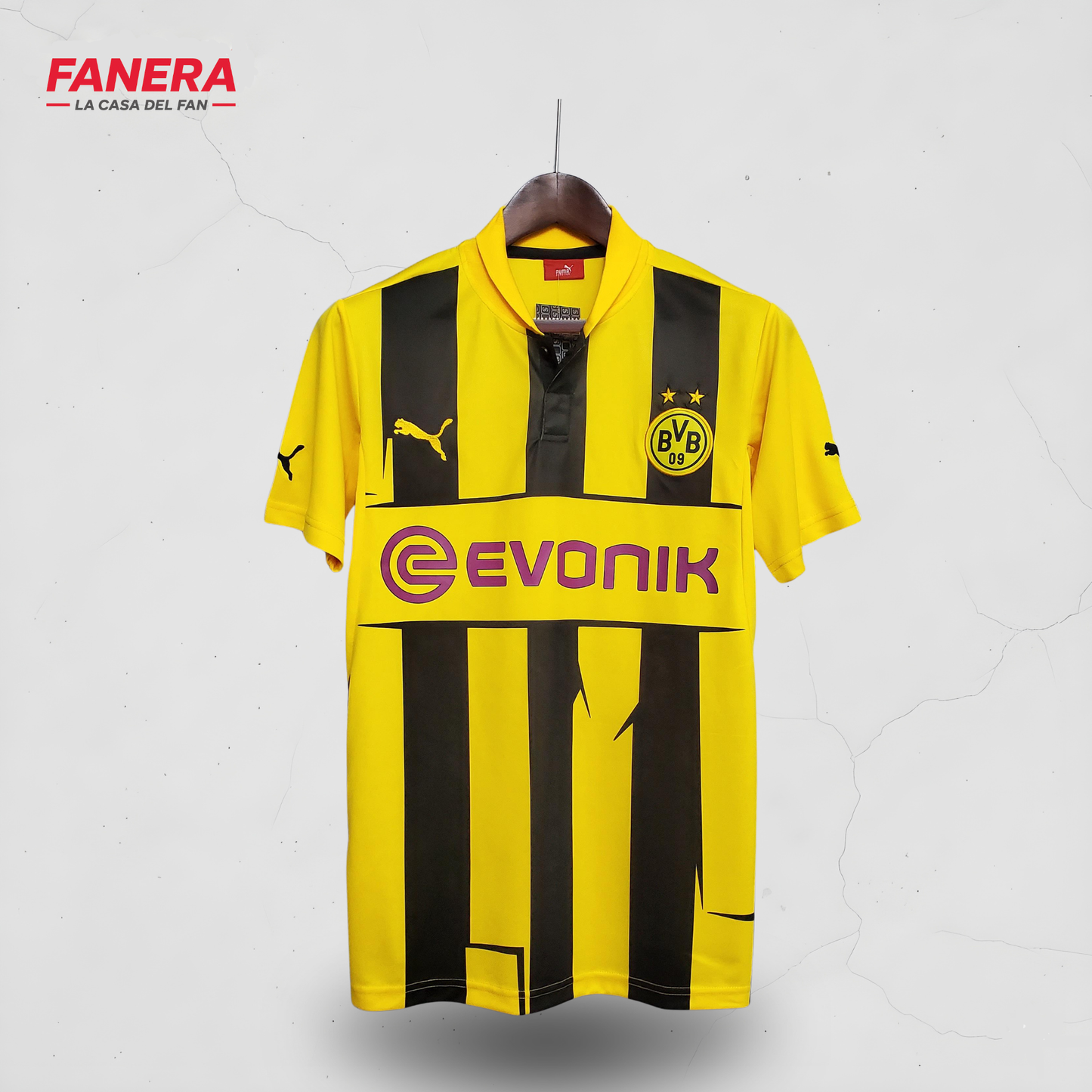 Borussia Dortmund 2012/13 Local