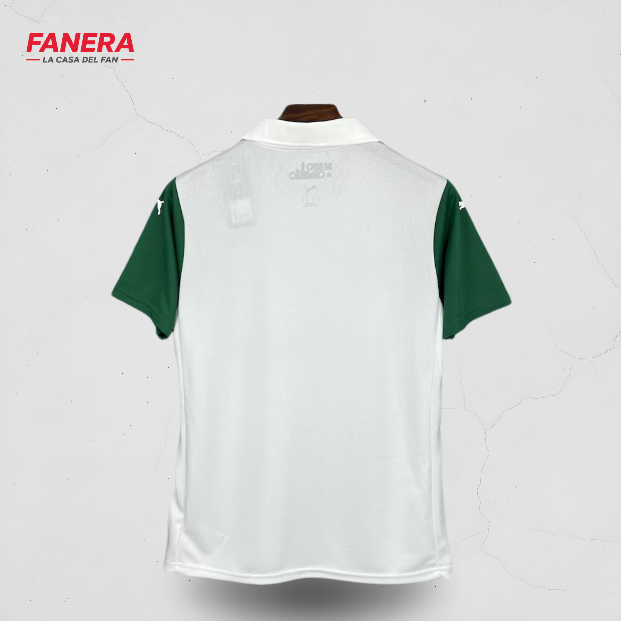Palmeiras Visita 25/26
