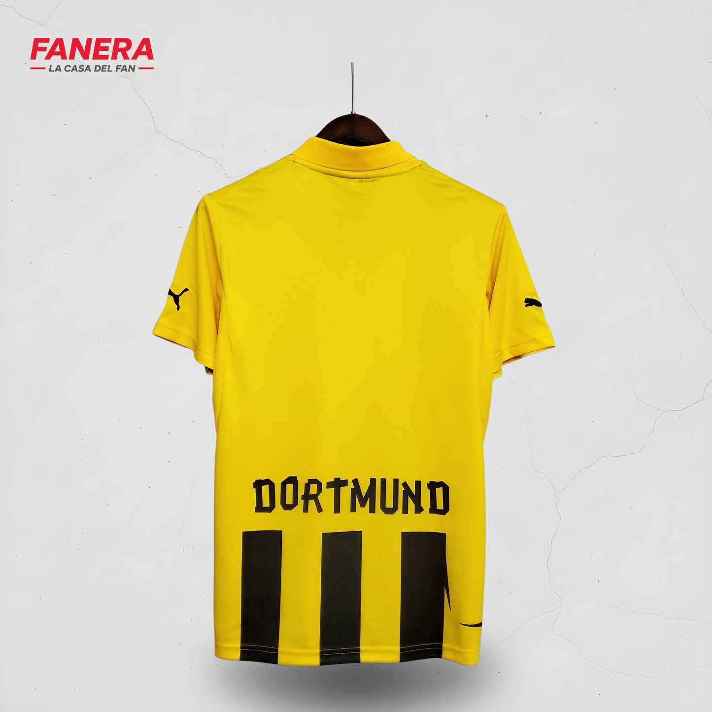 Borussia Dortmund 2012/13 Local