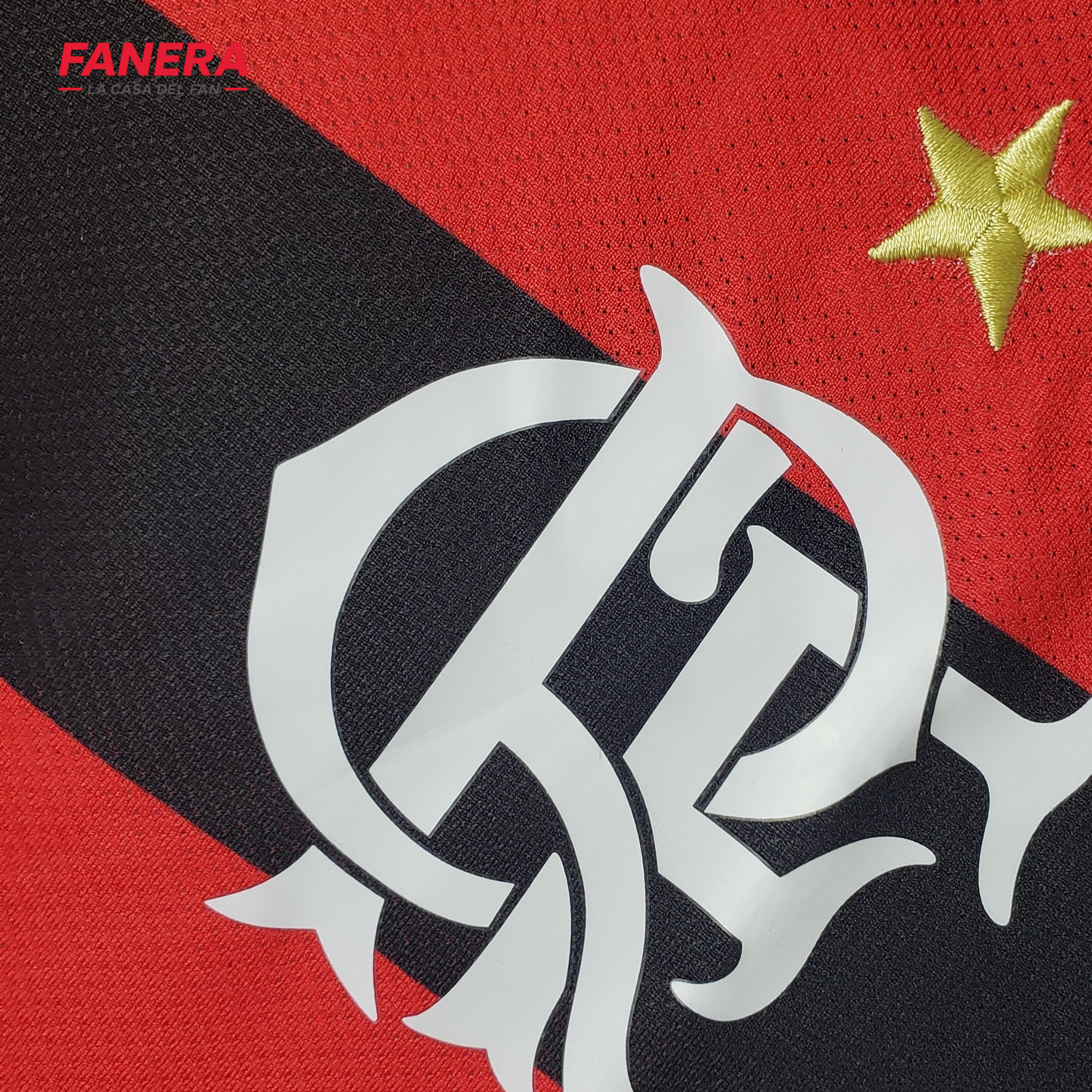 Flamengo 2009 Local
