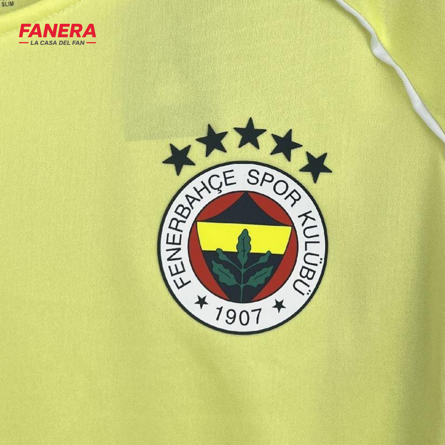Fenerbahçe Visita 25/26