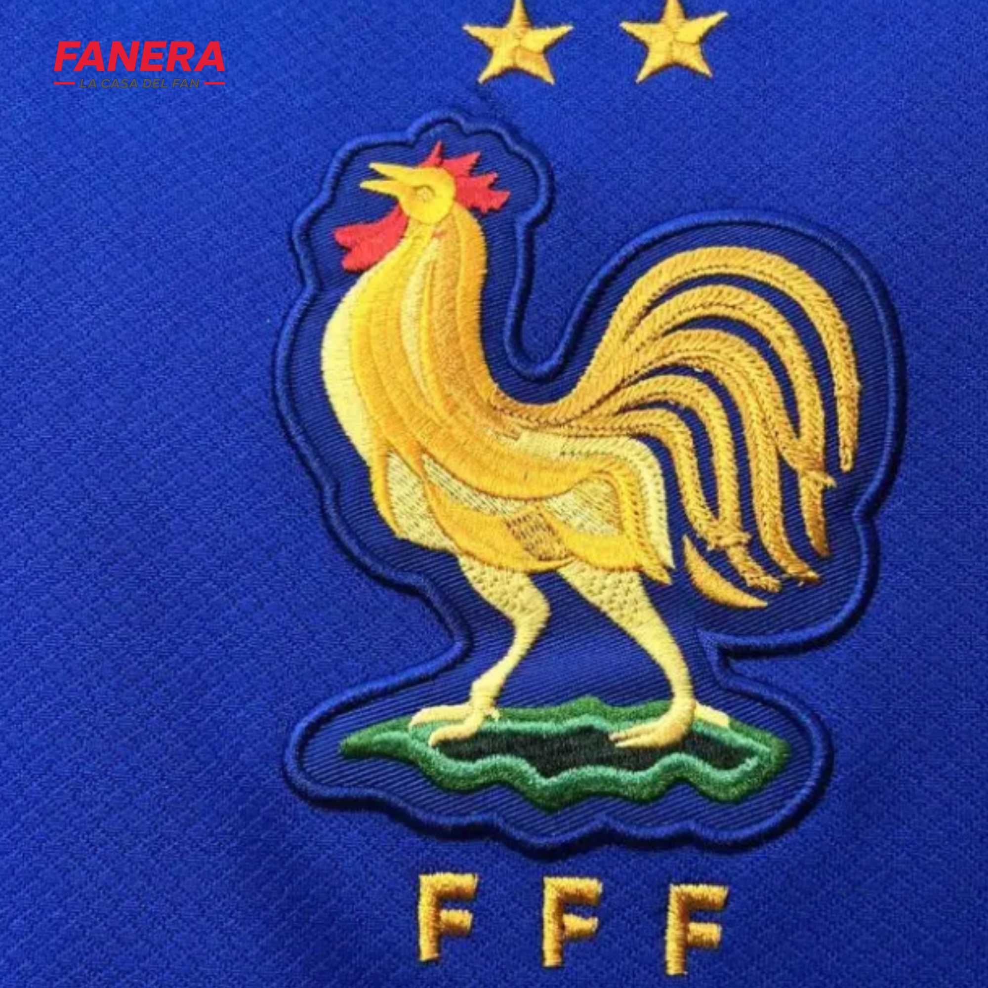 Francia 2024 Local
