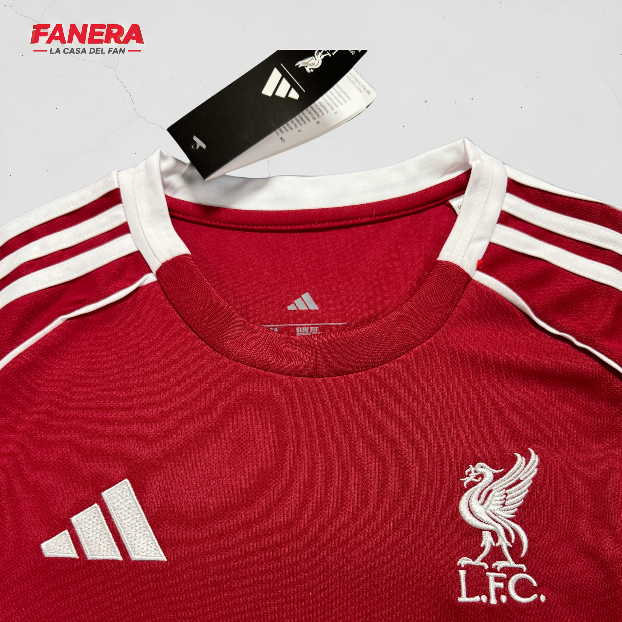 Liverpool Local 25/26 Dama
