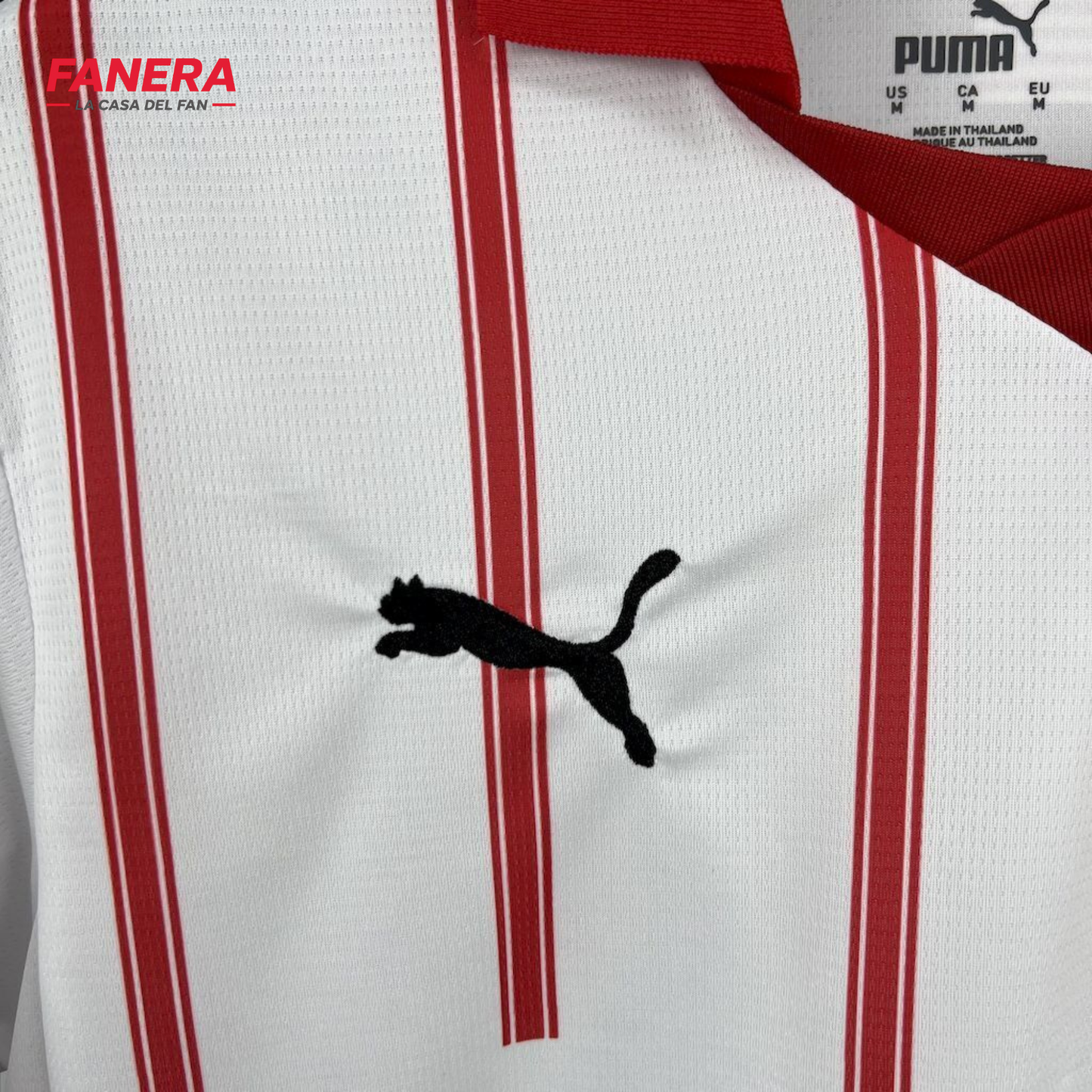 Girona Local 25/26