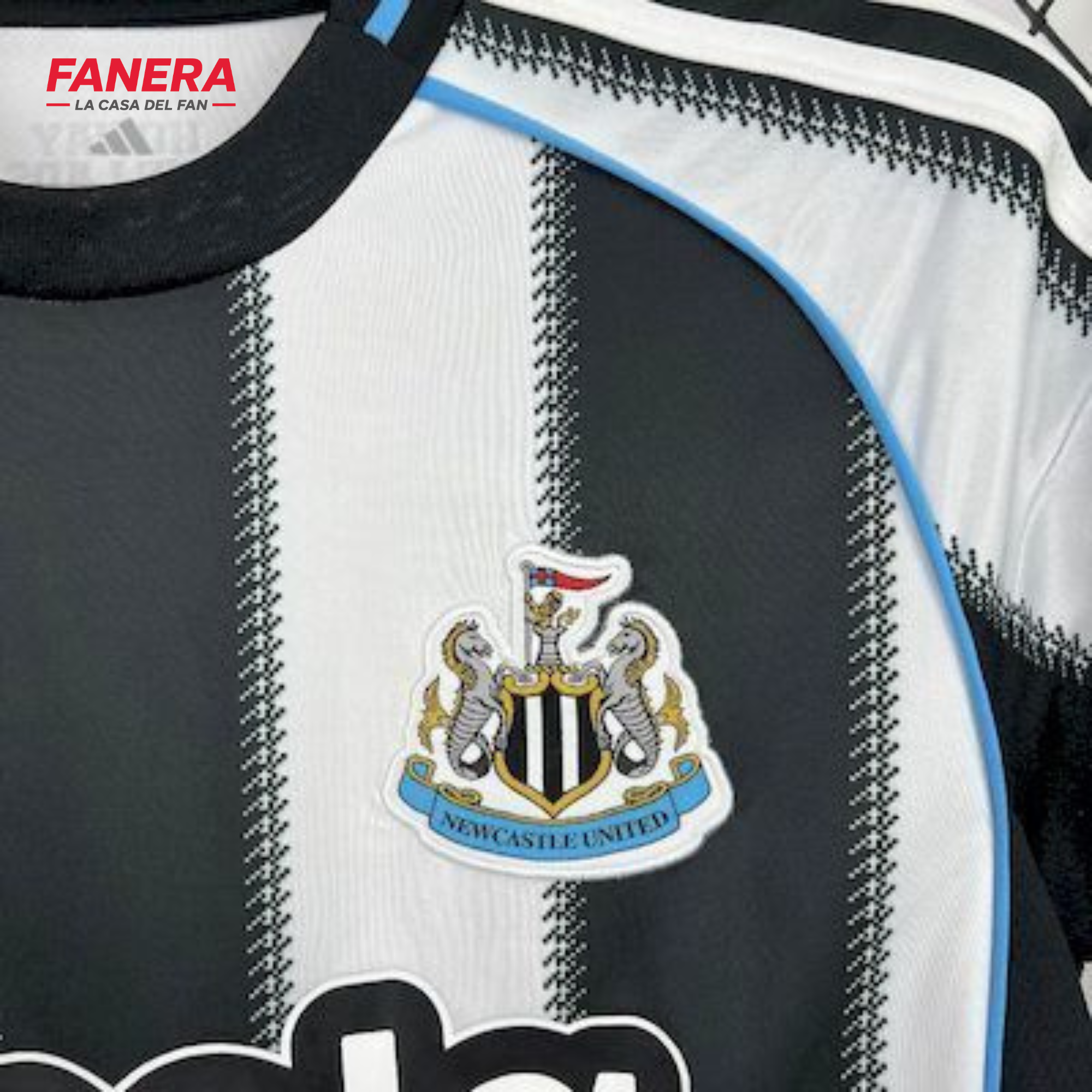 Newcastle Local 25/26