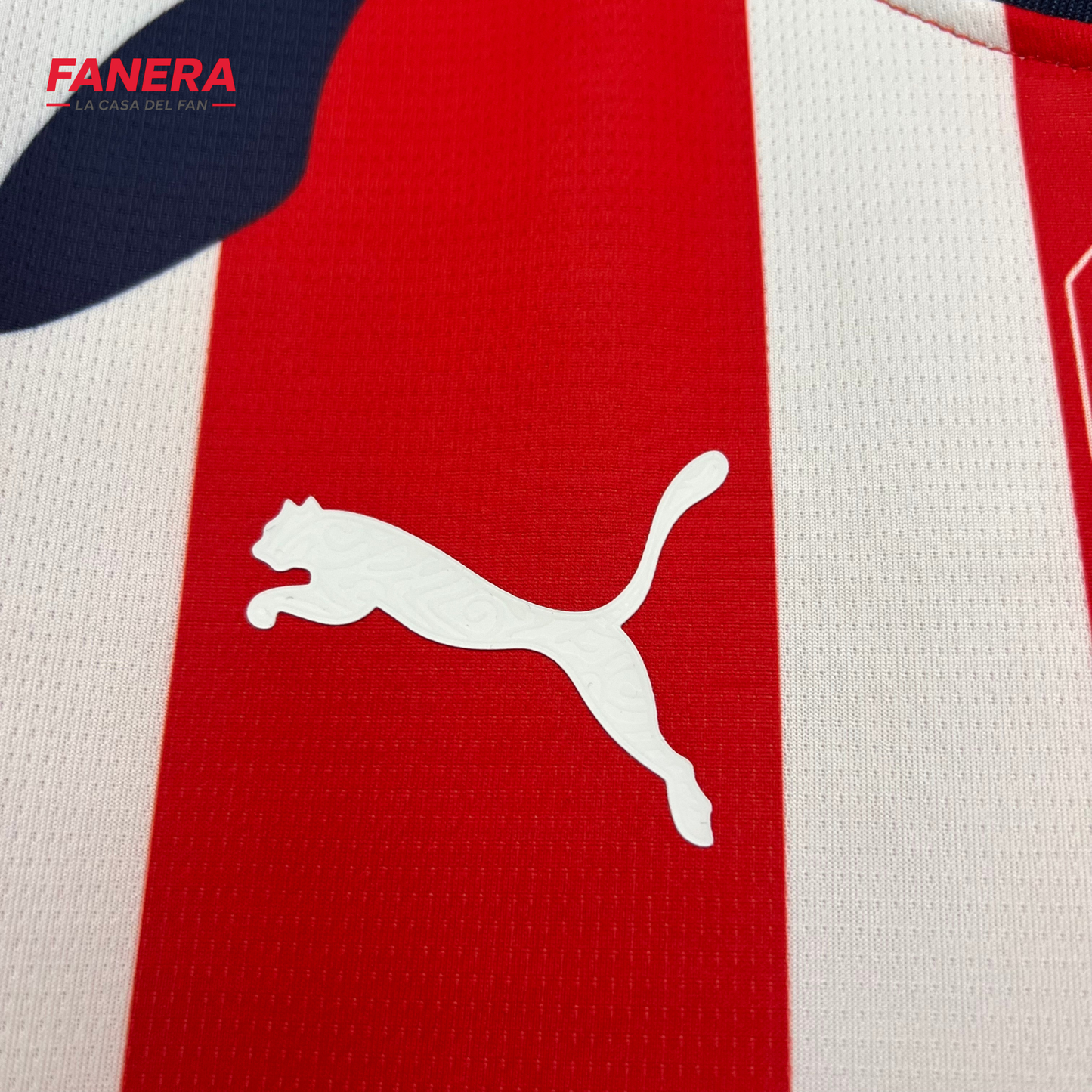 Chivas Local 25/26