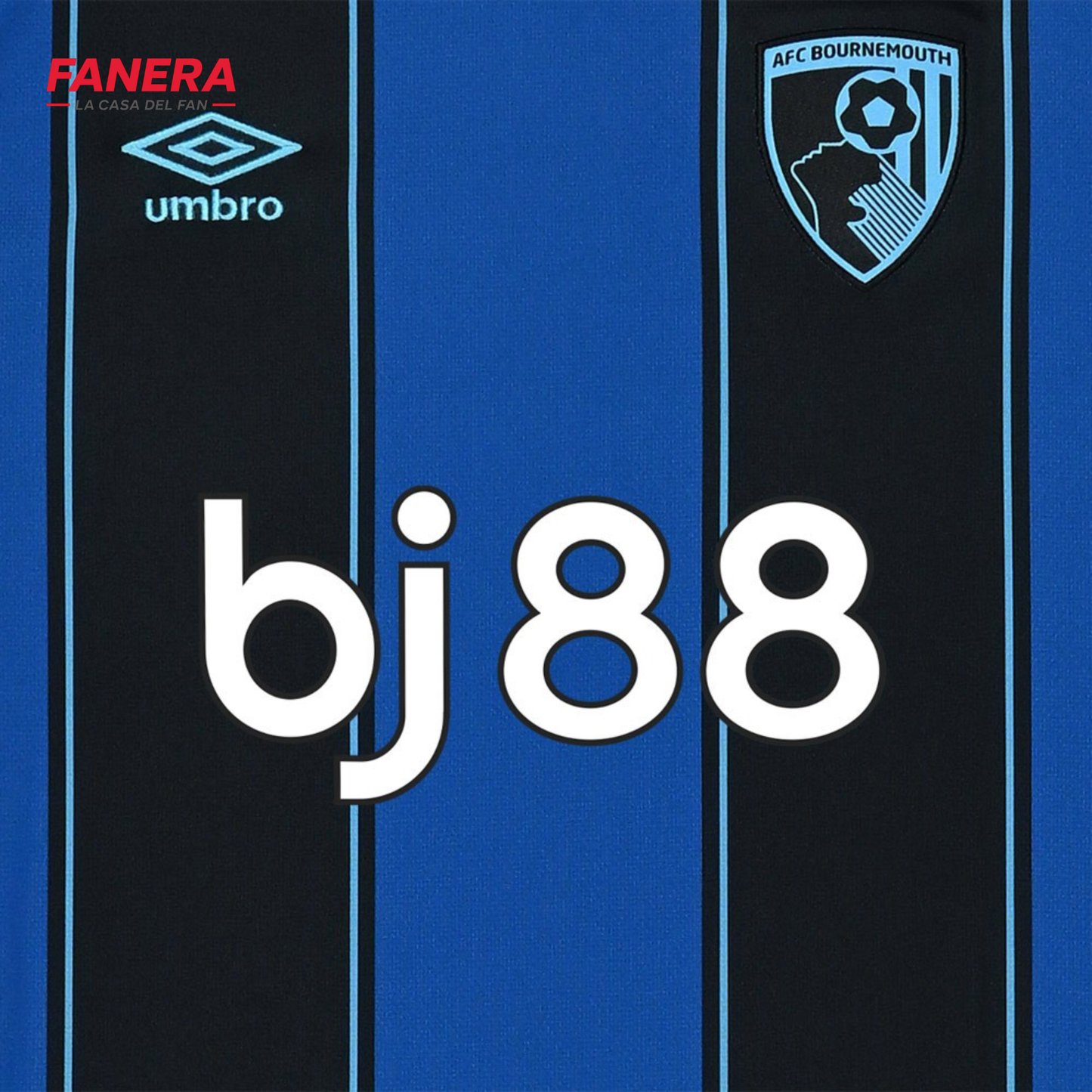 Bournemouth Visita 25/26