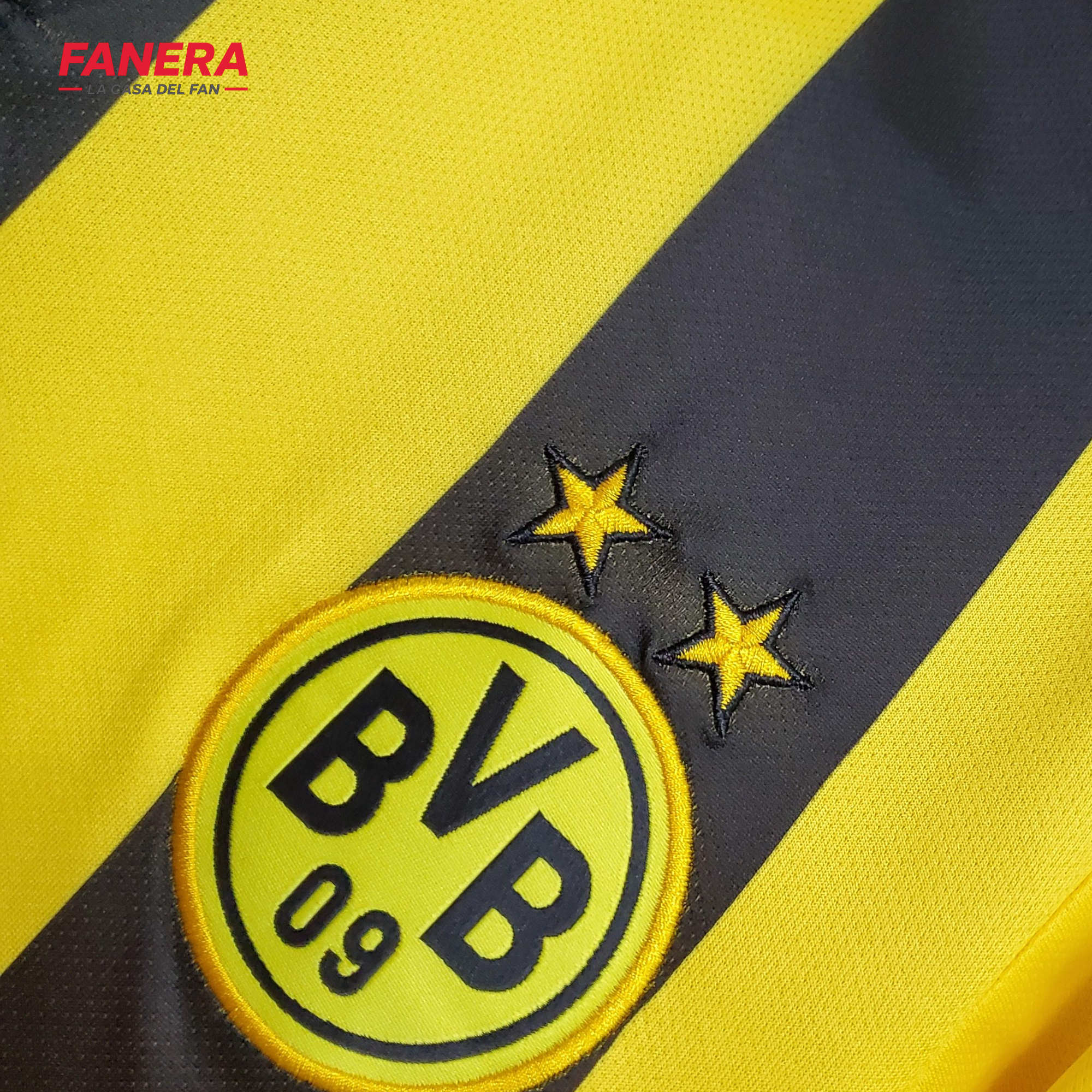 Borussia Dortmund 2012/13 Local