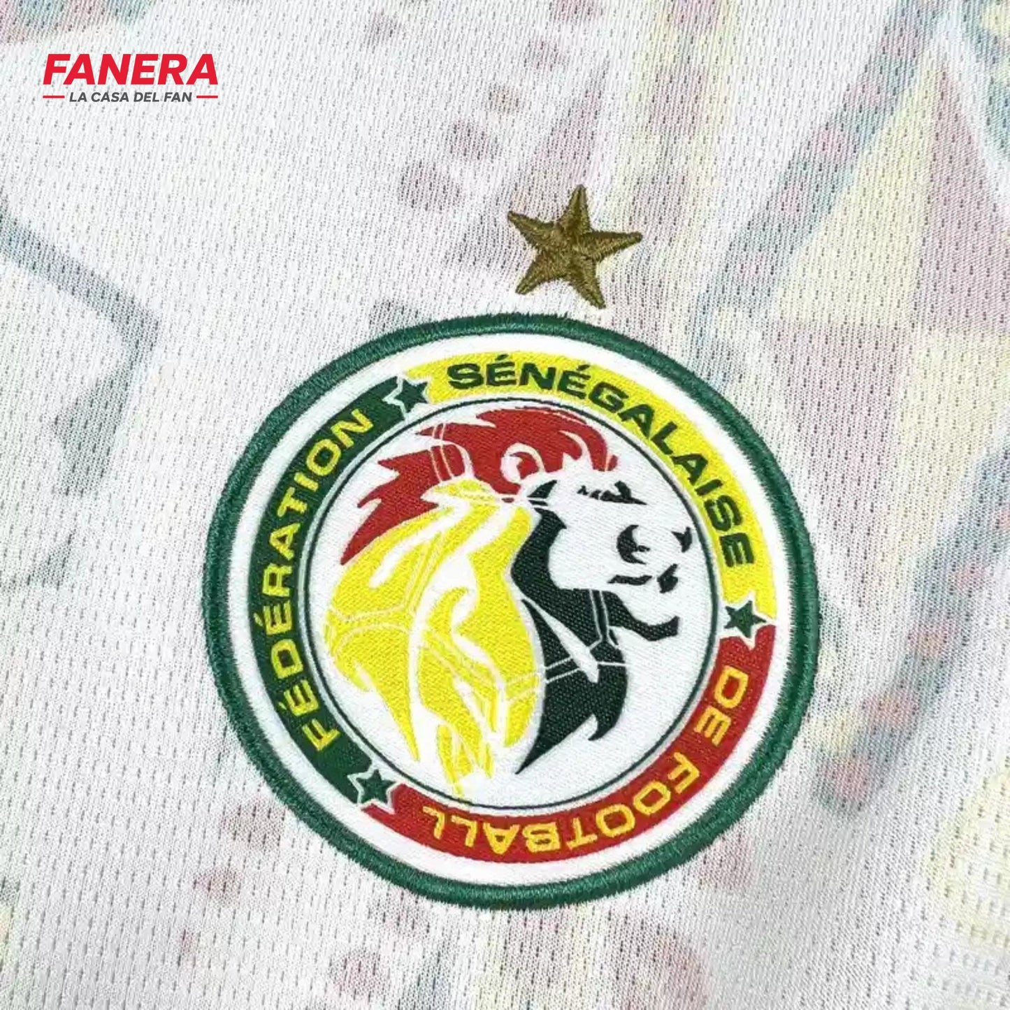 Senegal Local | Mundial 2026
