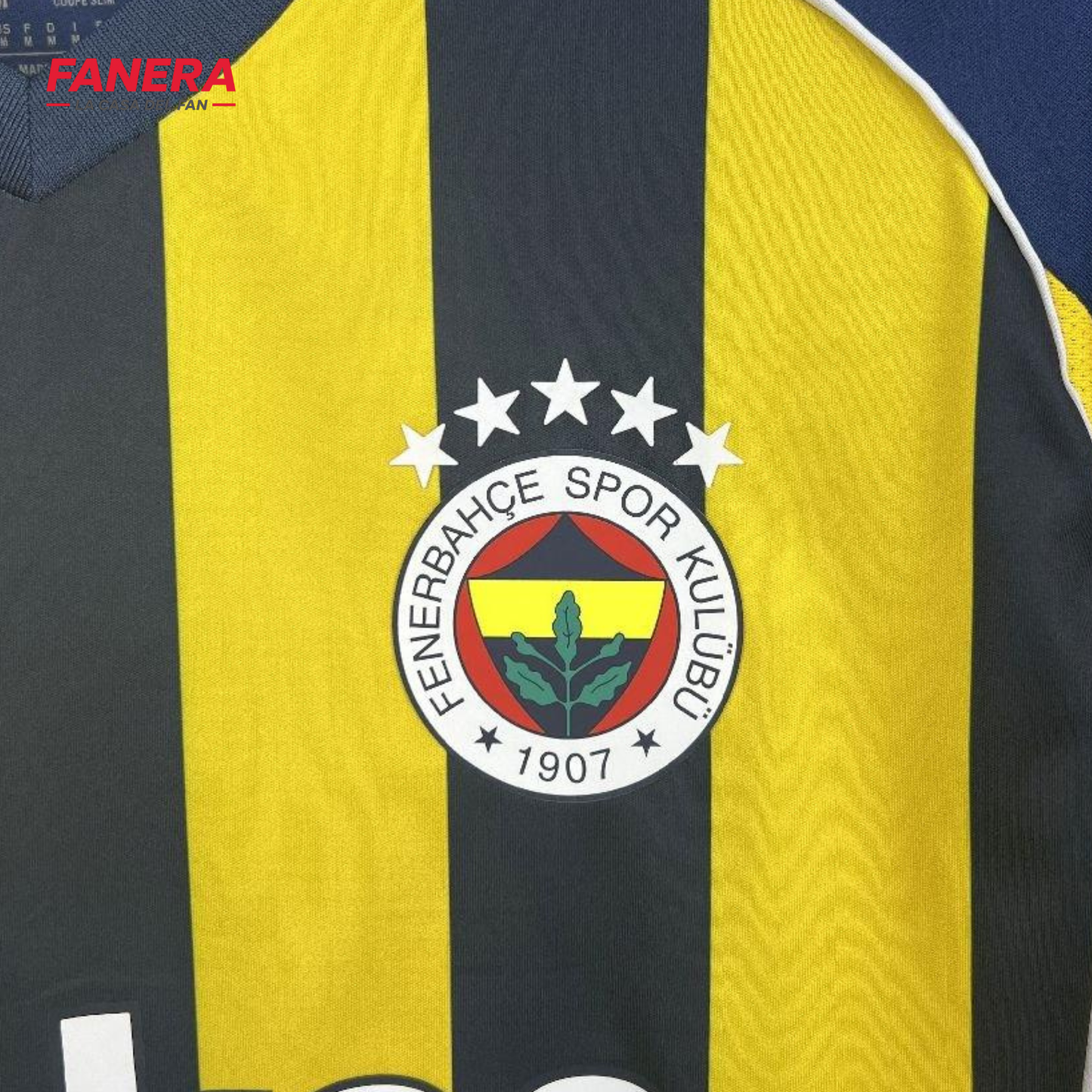Fenerbahçe Local 25/26