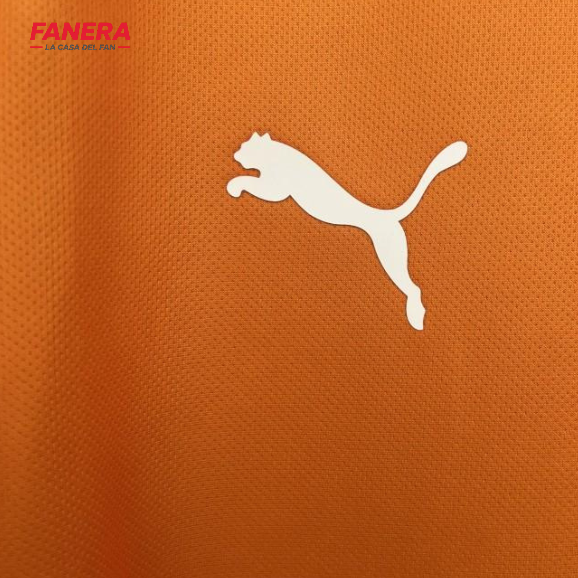 Galatasaray Local 25/26