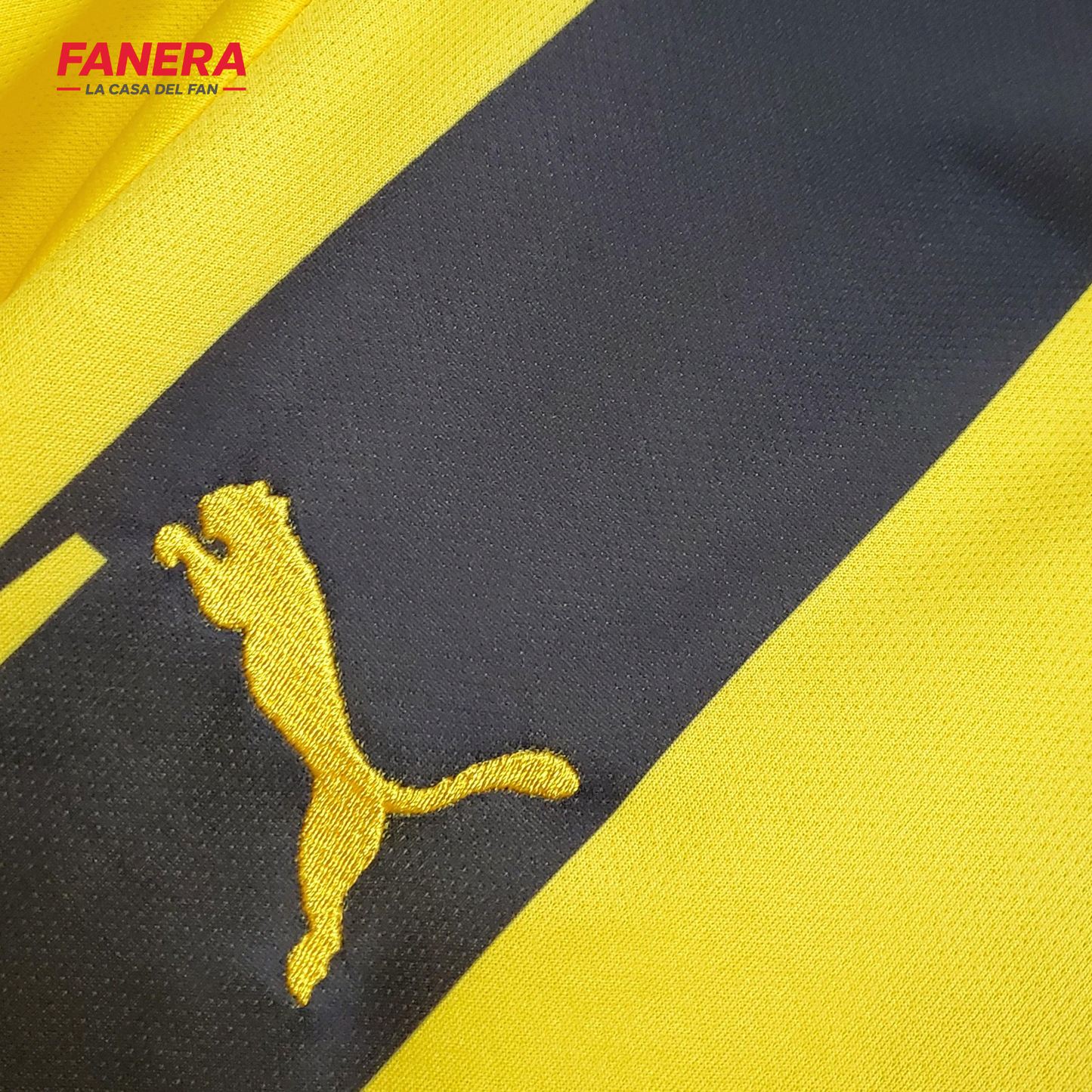 Borussia Dortmund 2012/13 Local