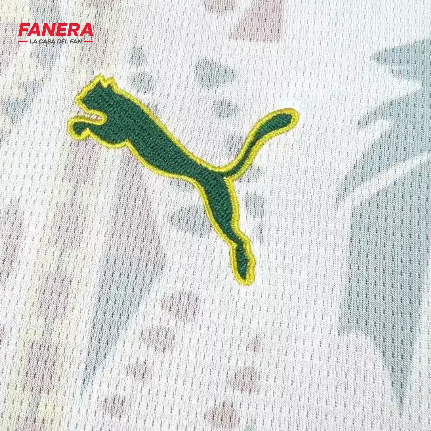 Senegal Local | Mundial 2026