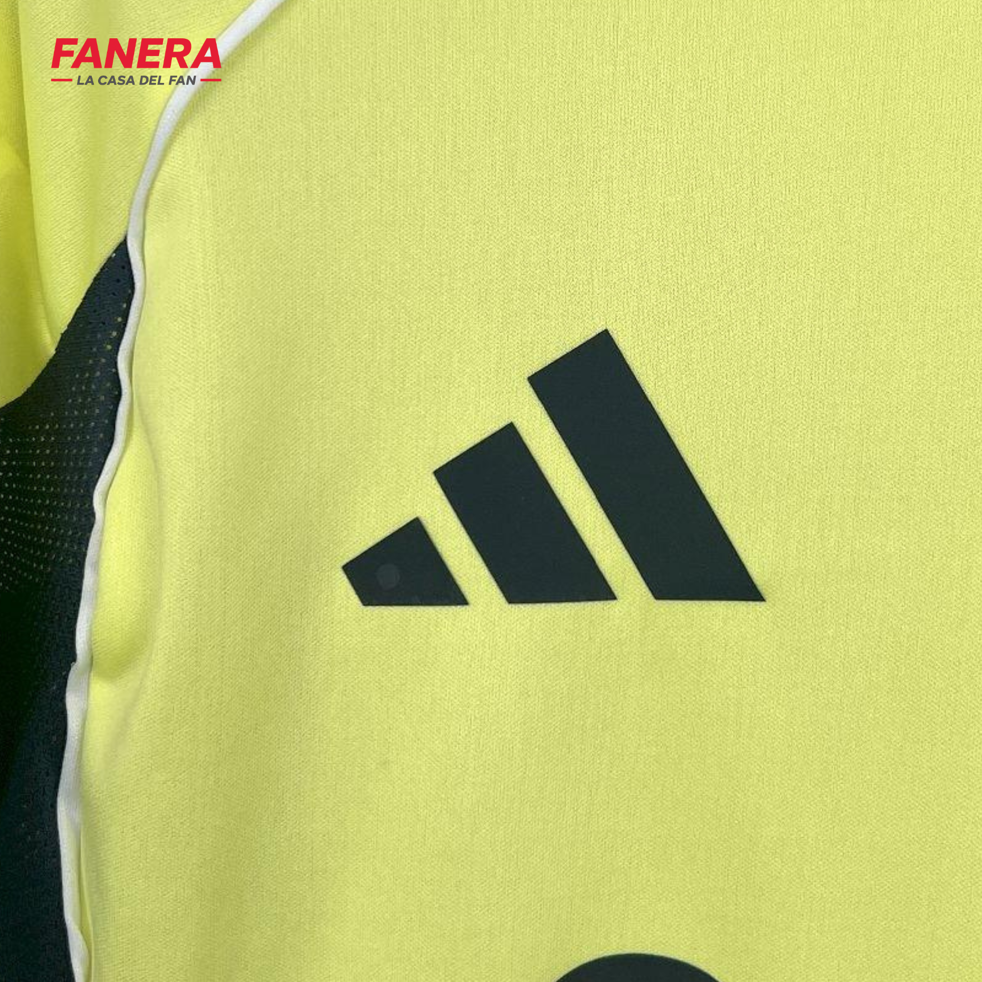 Fenerbahçe Visita 25/26