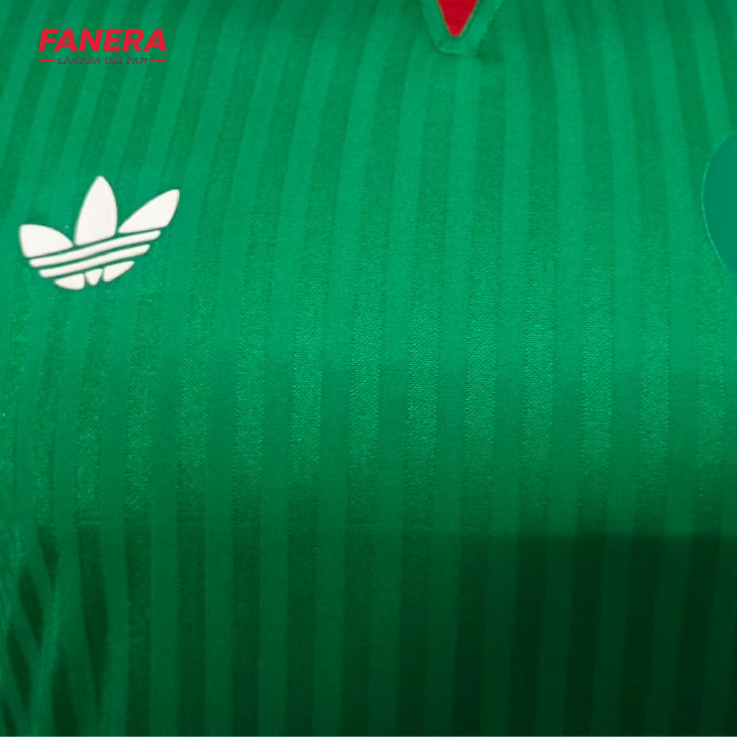 Argelia Visita | Mundial 2026