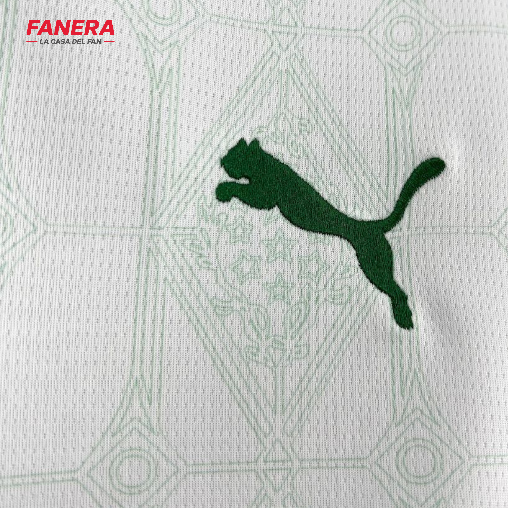 Palmeiras Visita 25/26