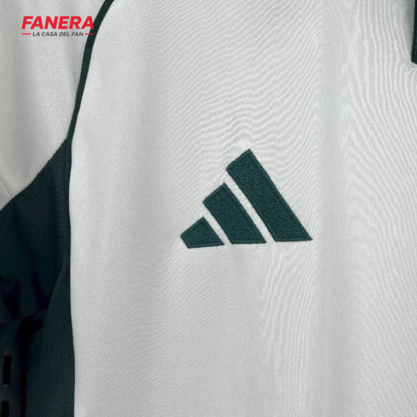 Panathinaikos Visita 25/26