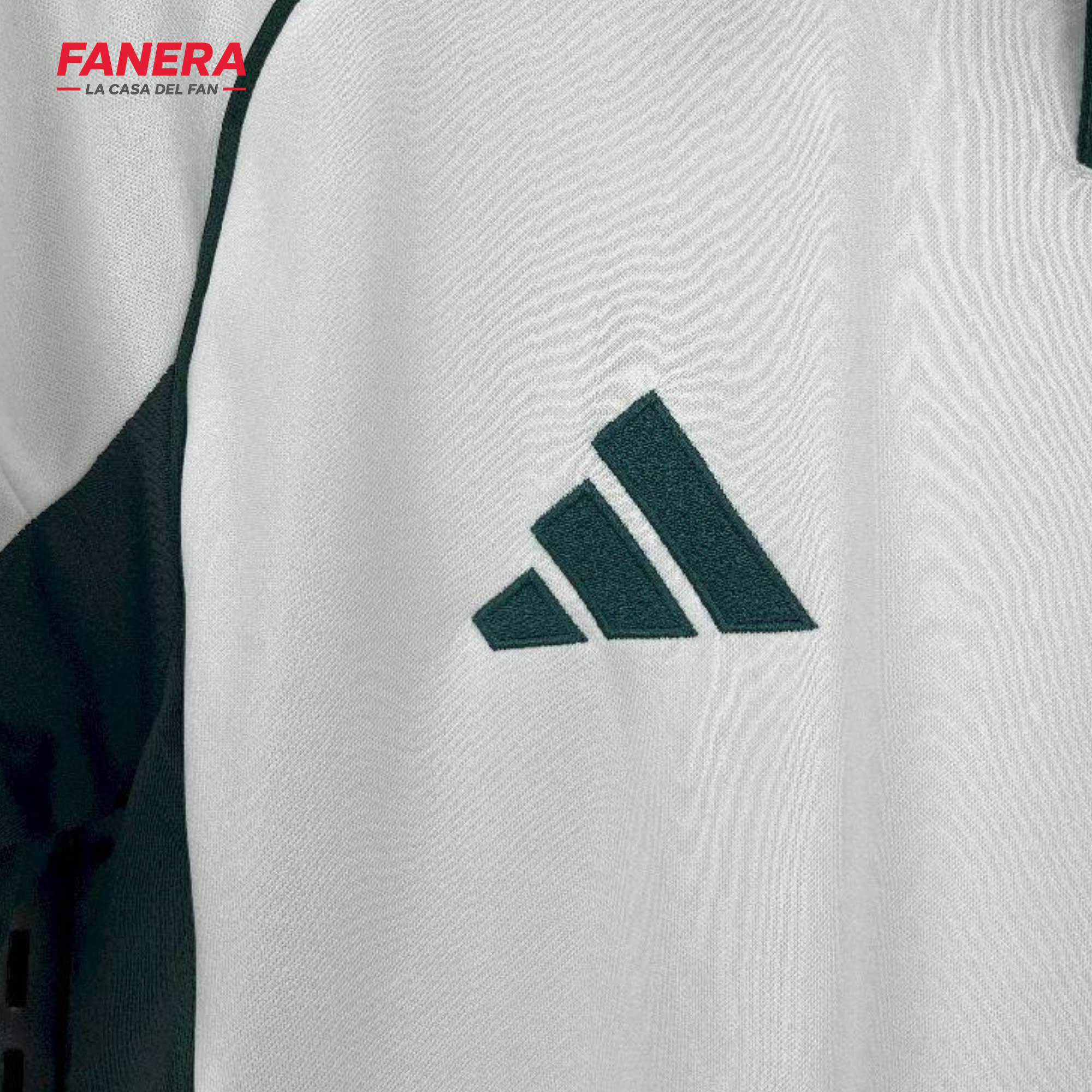 Panathinaikos Visita 25/26