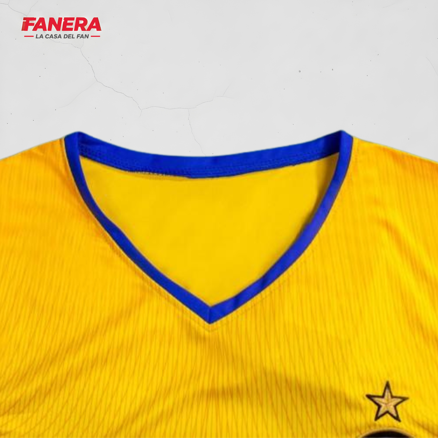 Inter Milan 2002/03 Alternativo
