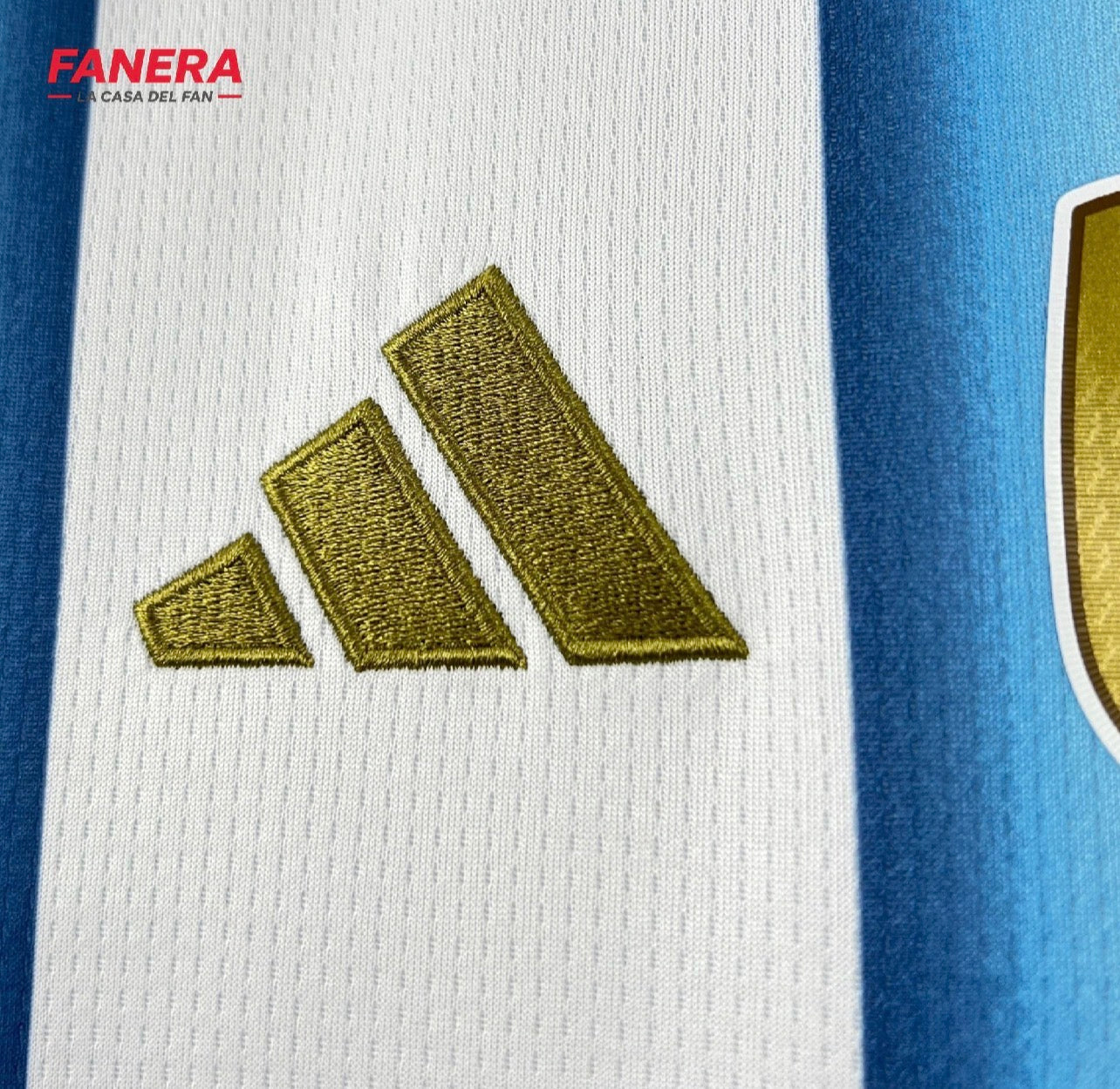 Argentina Local “10 Messi” Mundial 2026 | Envío Express
