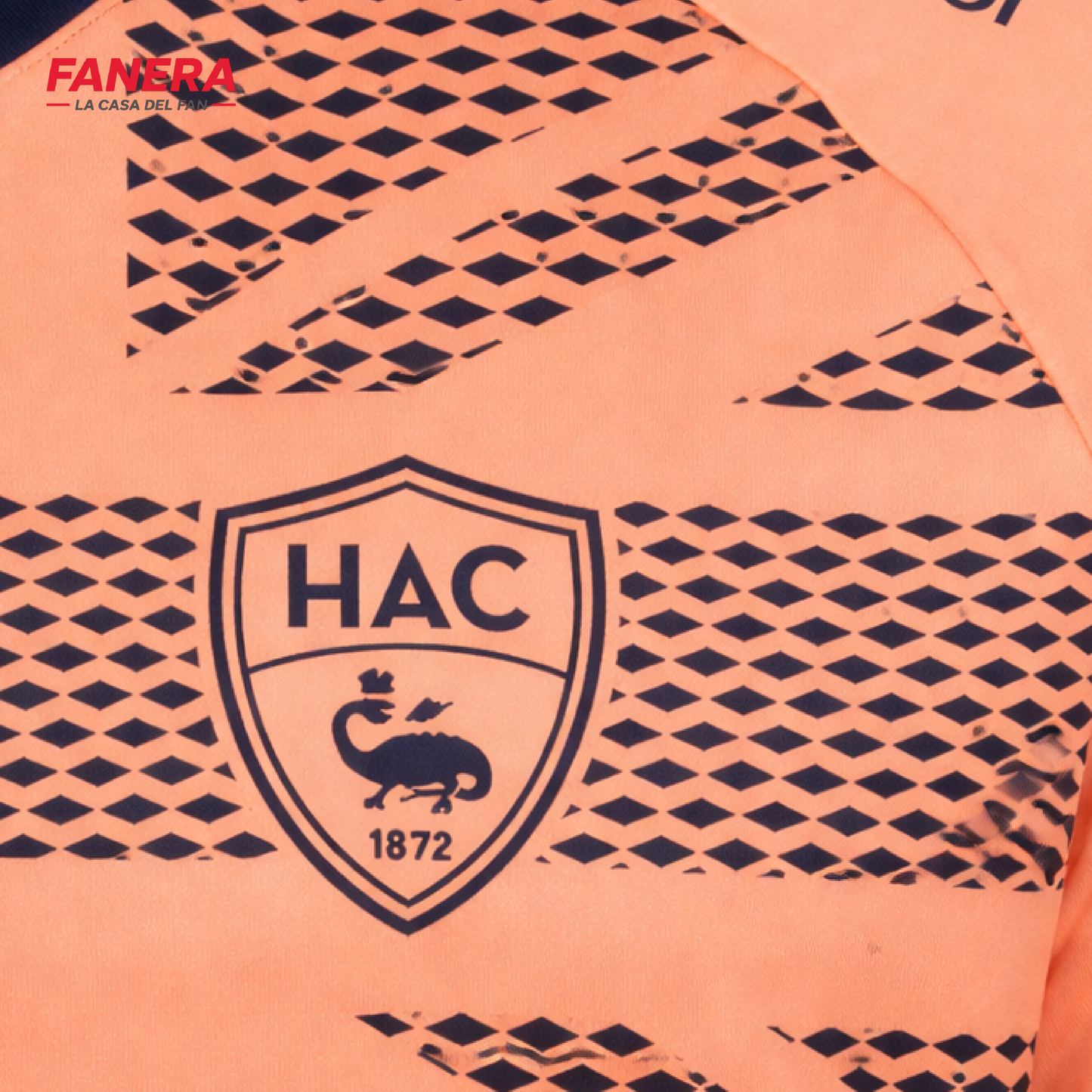 Le Havre Visita 25/26