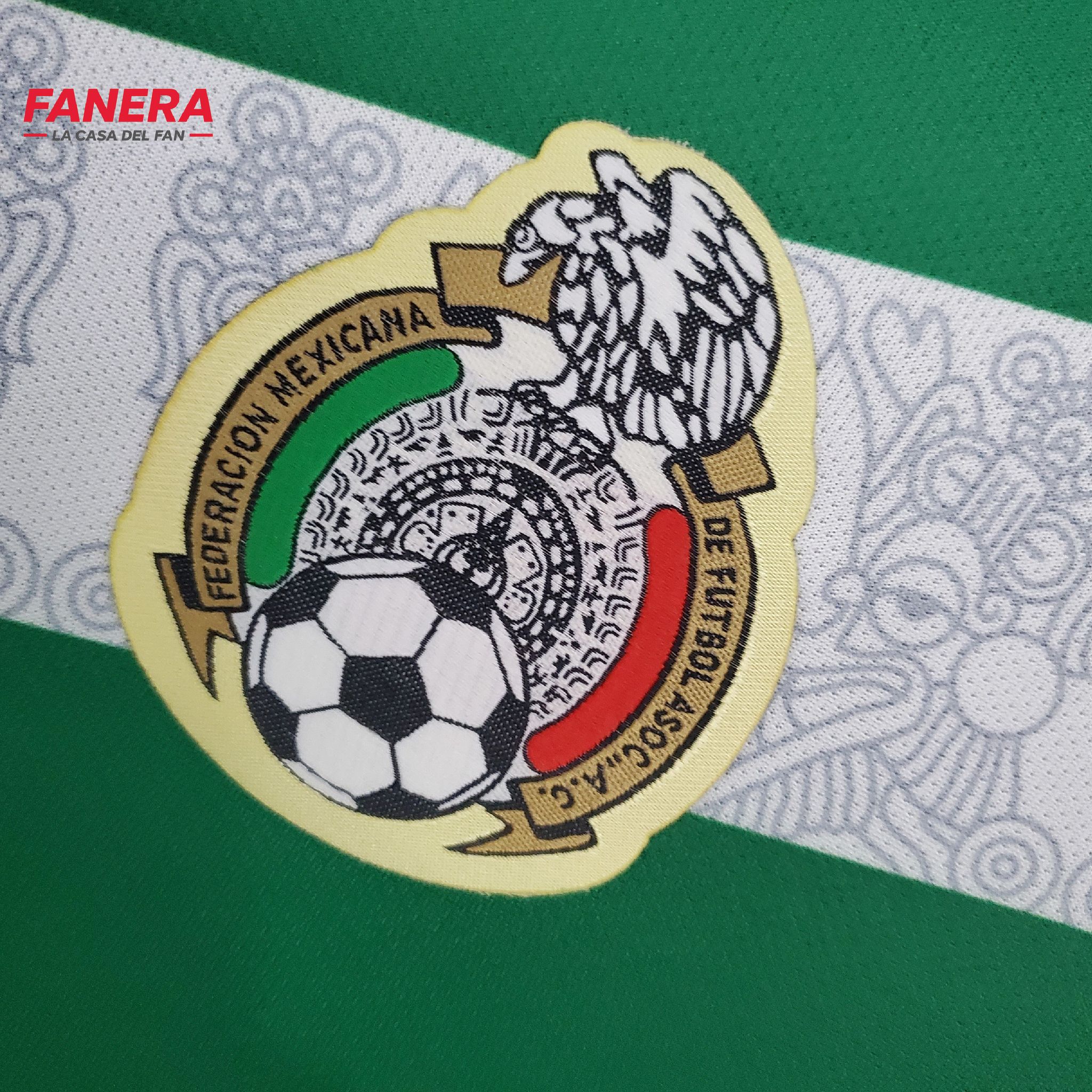 México Local 2006