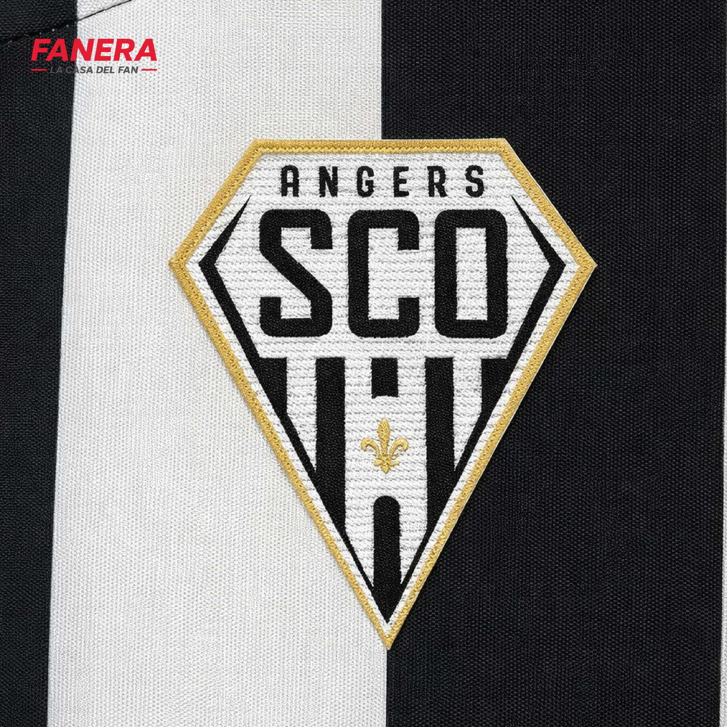 Angers SCO Local 25/26