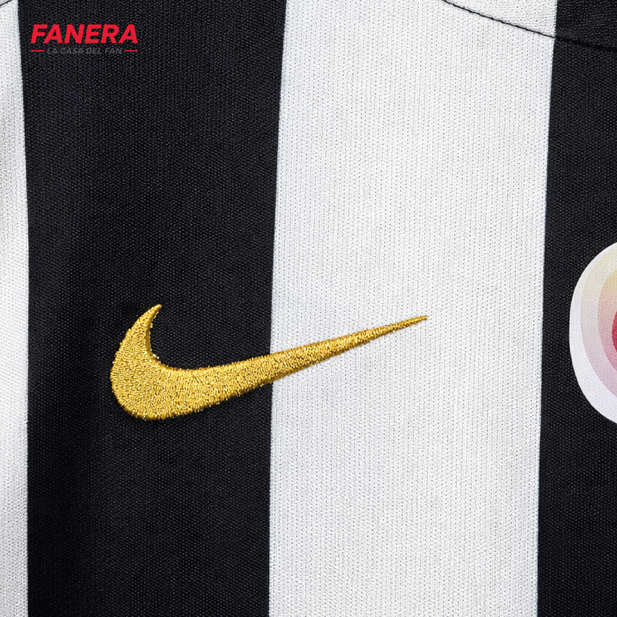 Angers SCO Local 25/26