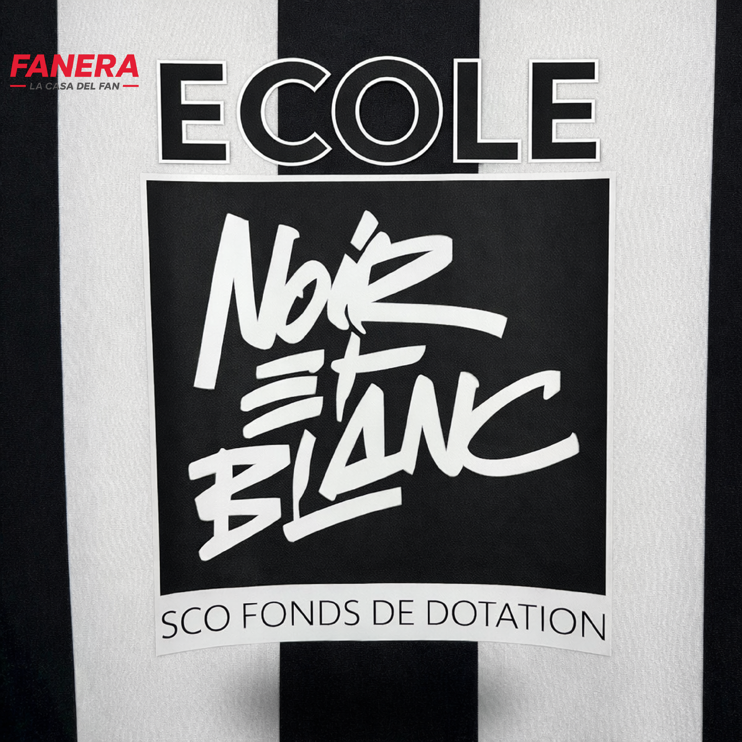 Angers SCO Local 25/26