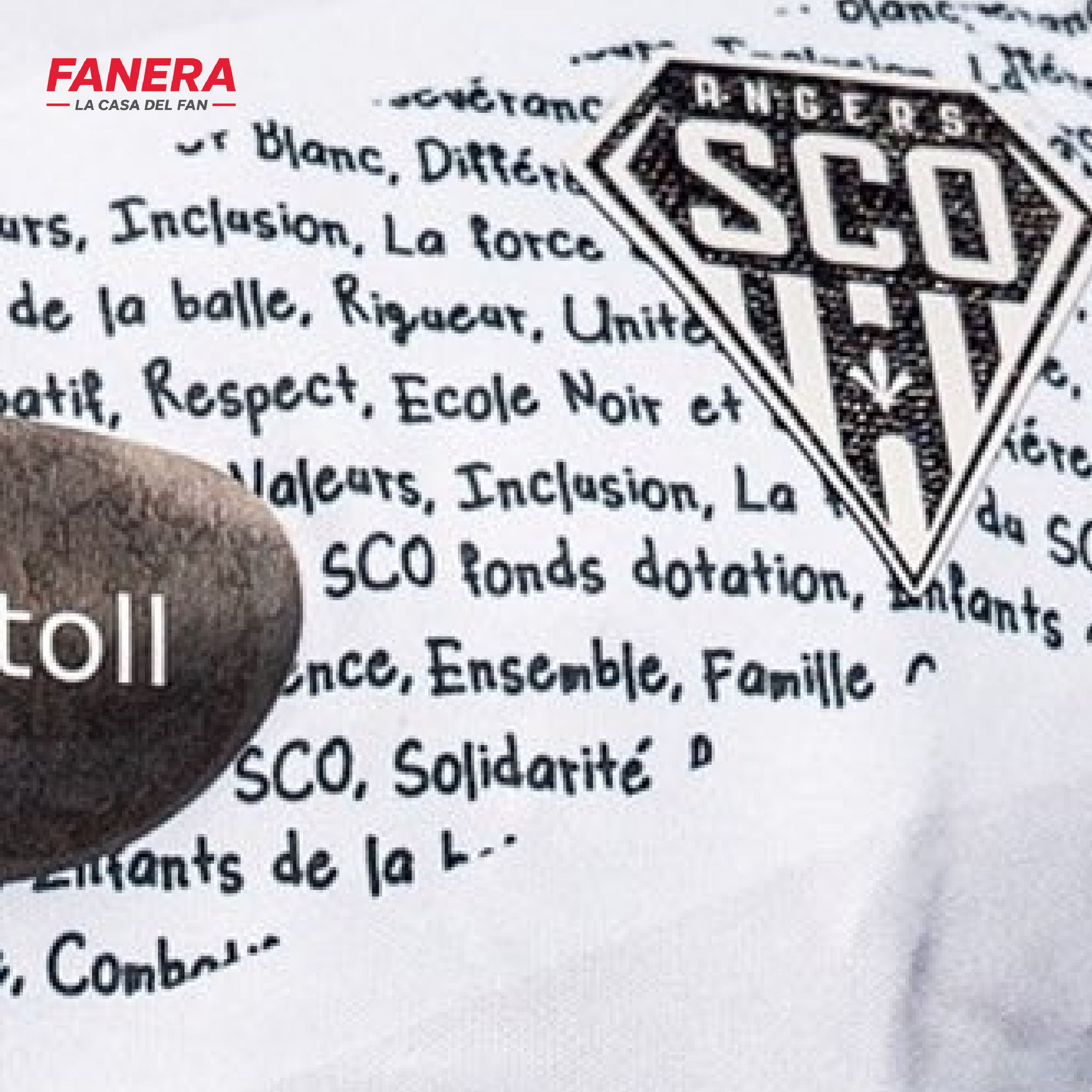 Angers SCO Visita 25/26