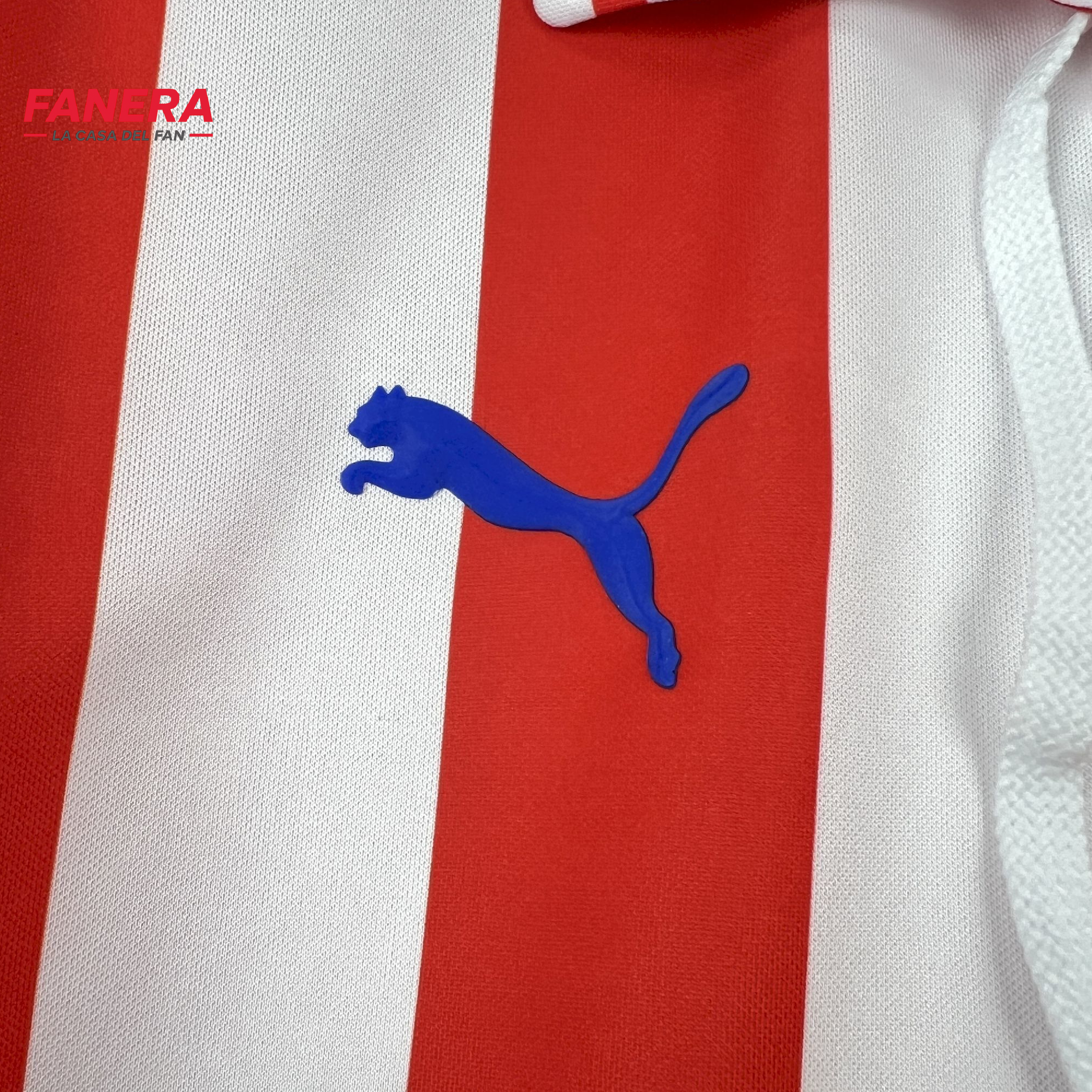 Chivas Local 2016/17 | Envío express