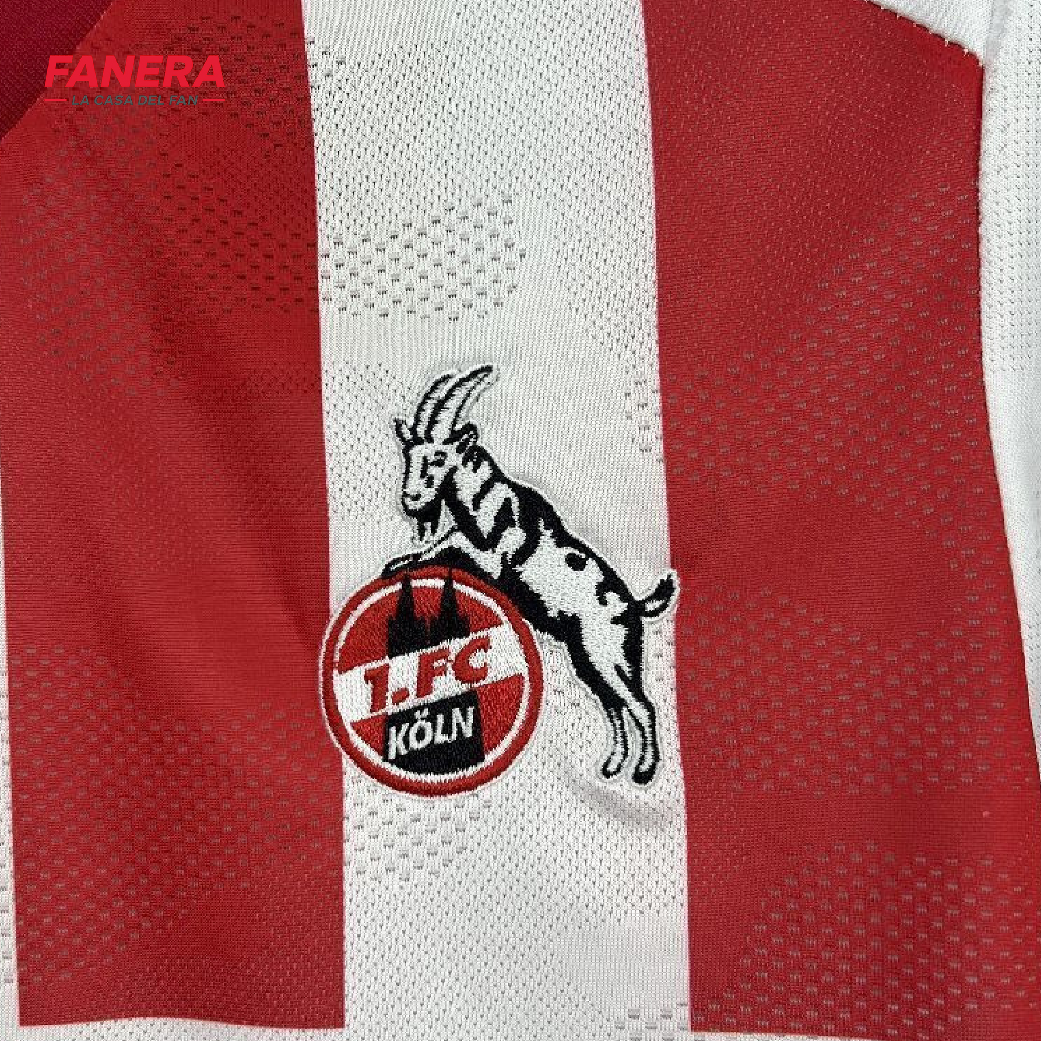 FC Koln Local 25/26