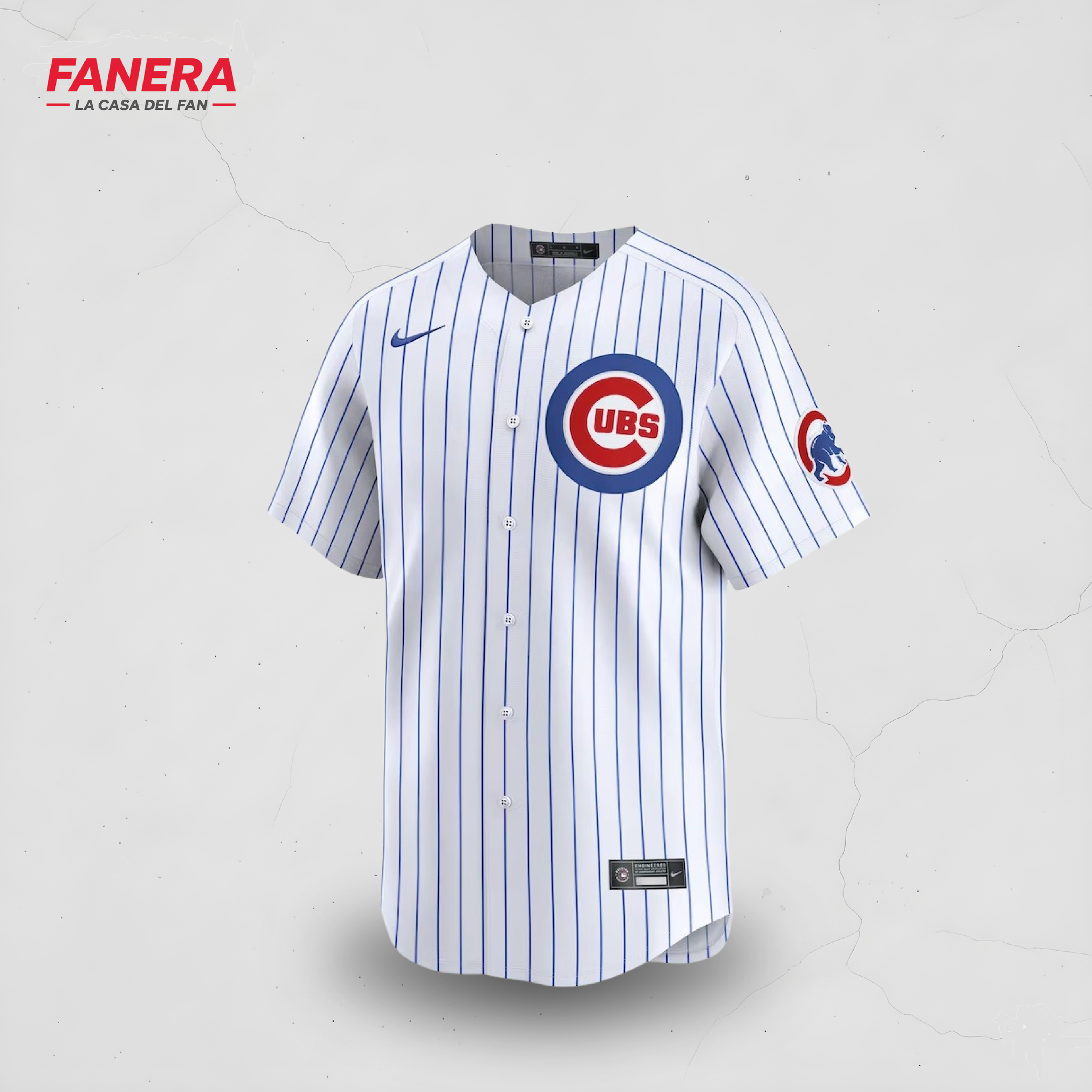 Chicago Cubs Local 25/26