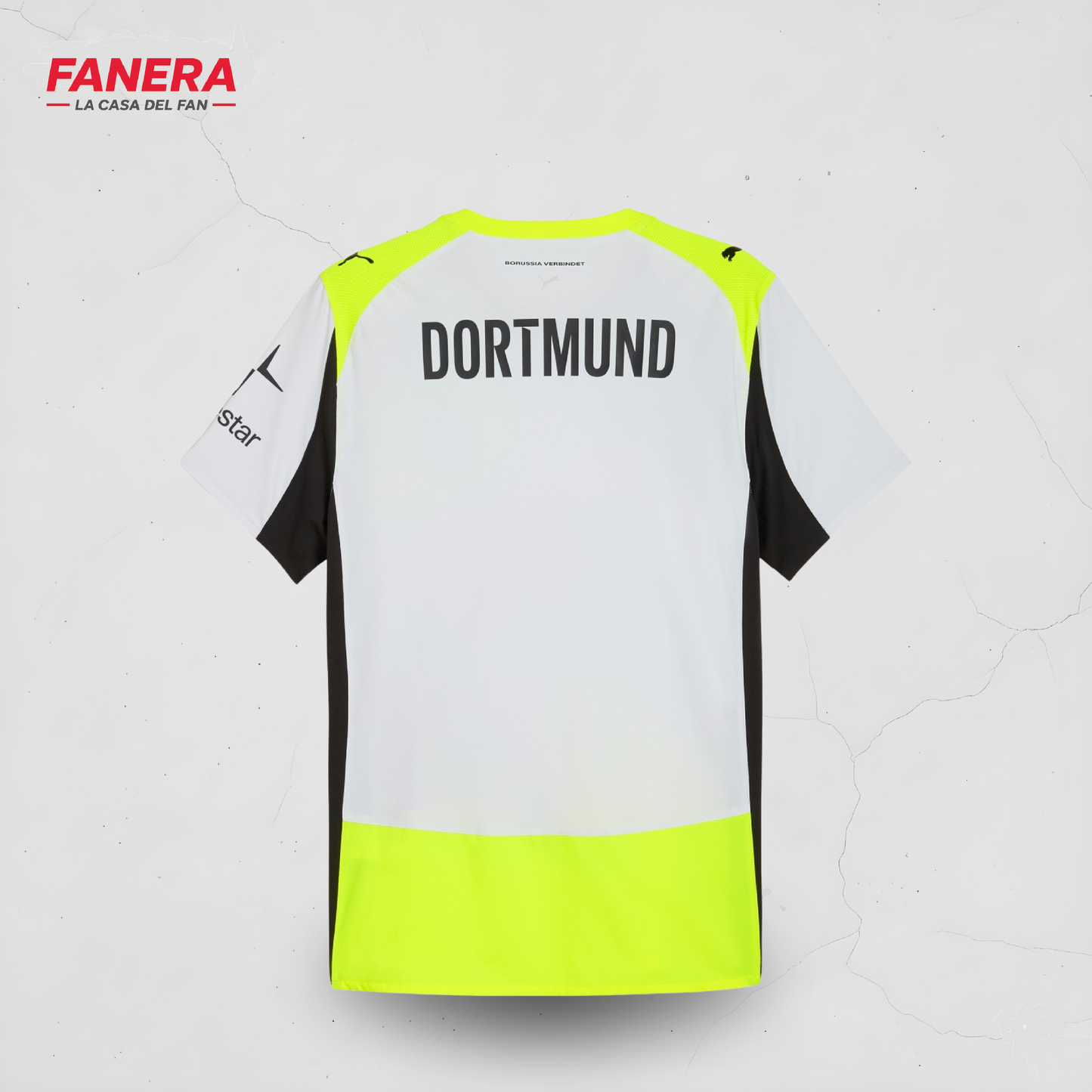 Borussia Dortmund Visita 25/26