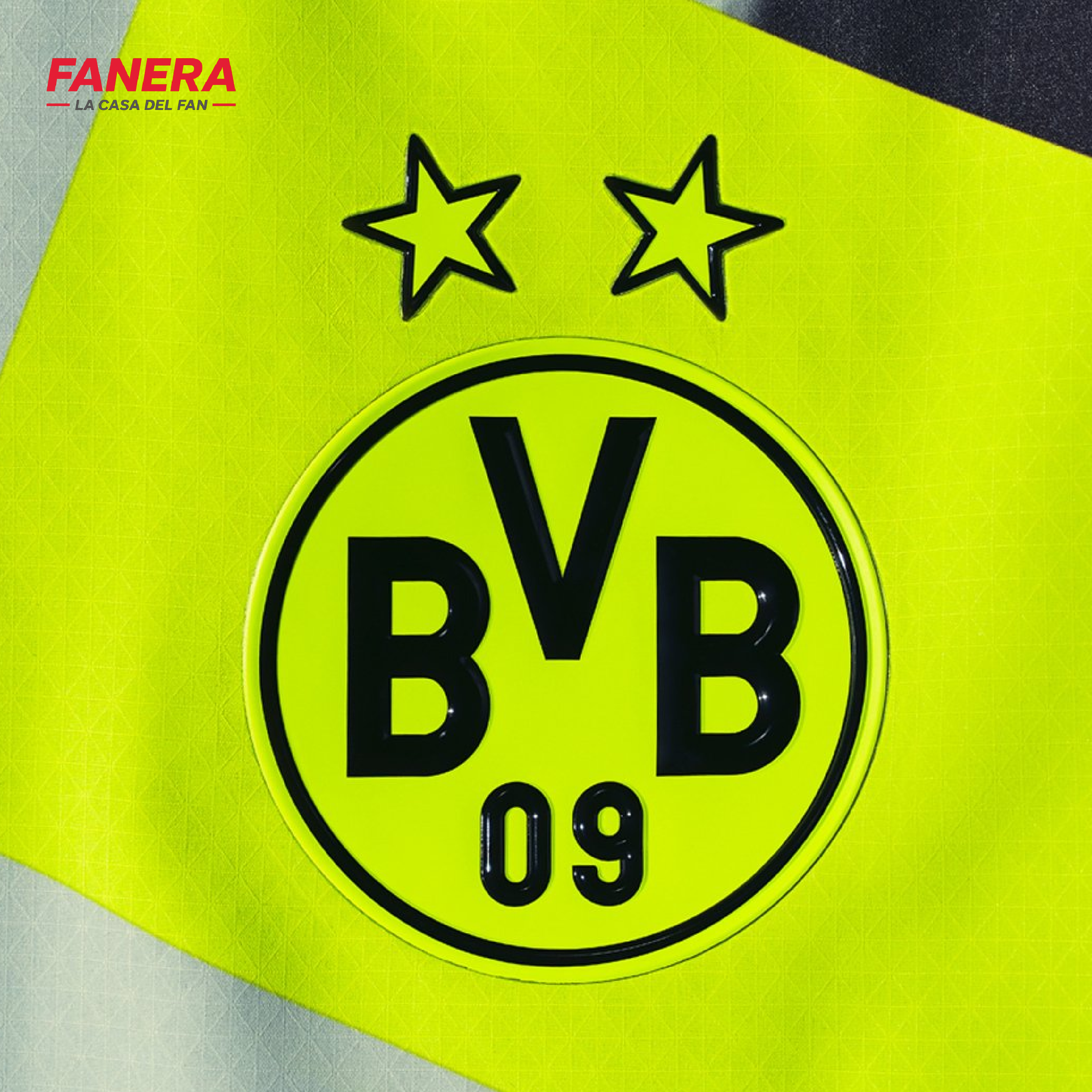 Borussia Dortmund Visita 25/26