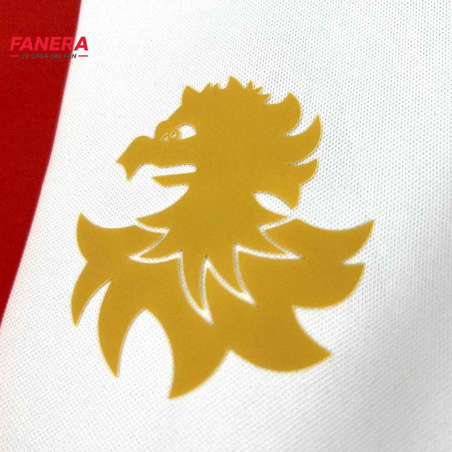 Genoa Visita 25/26