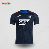 Hoffenheim Local 25/26