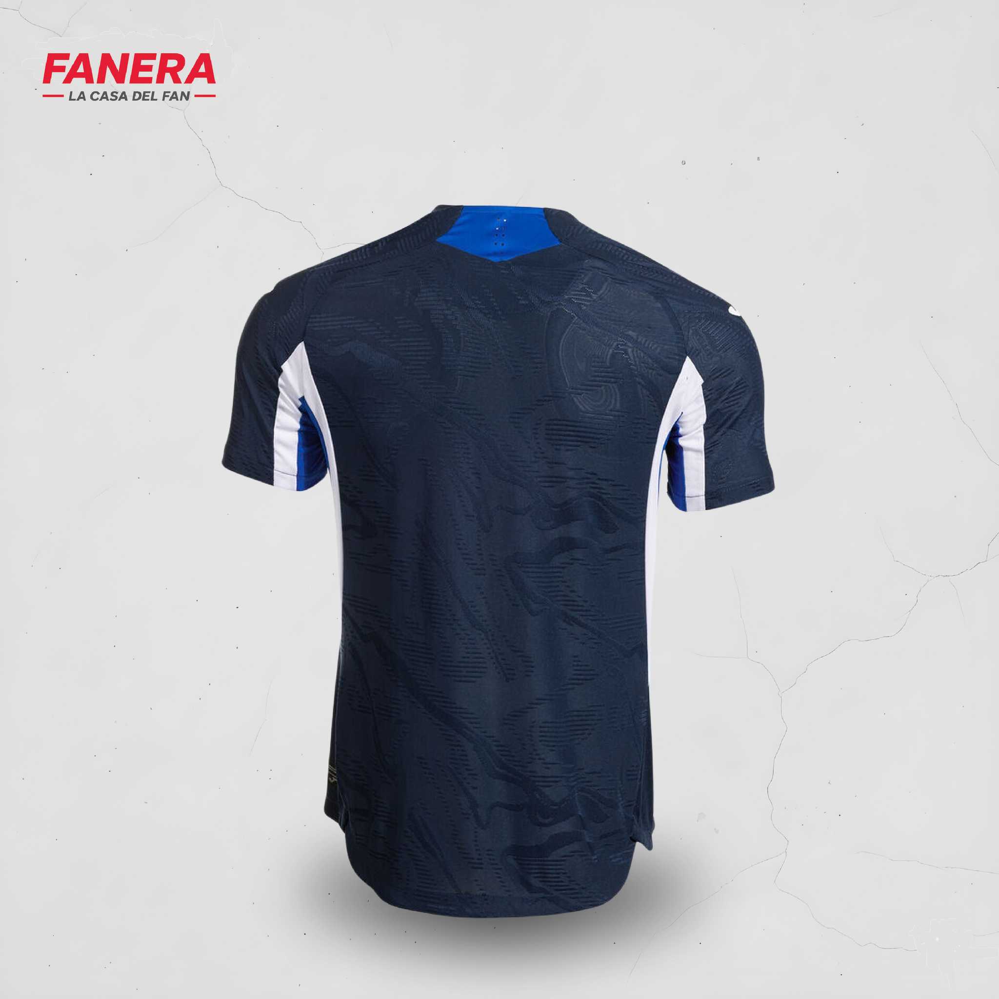 Hoffenheim Local 25/26