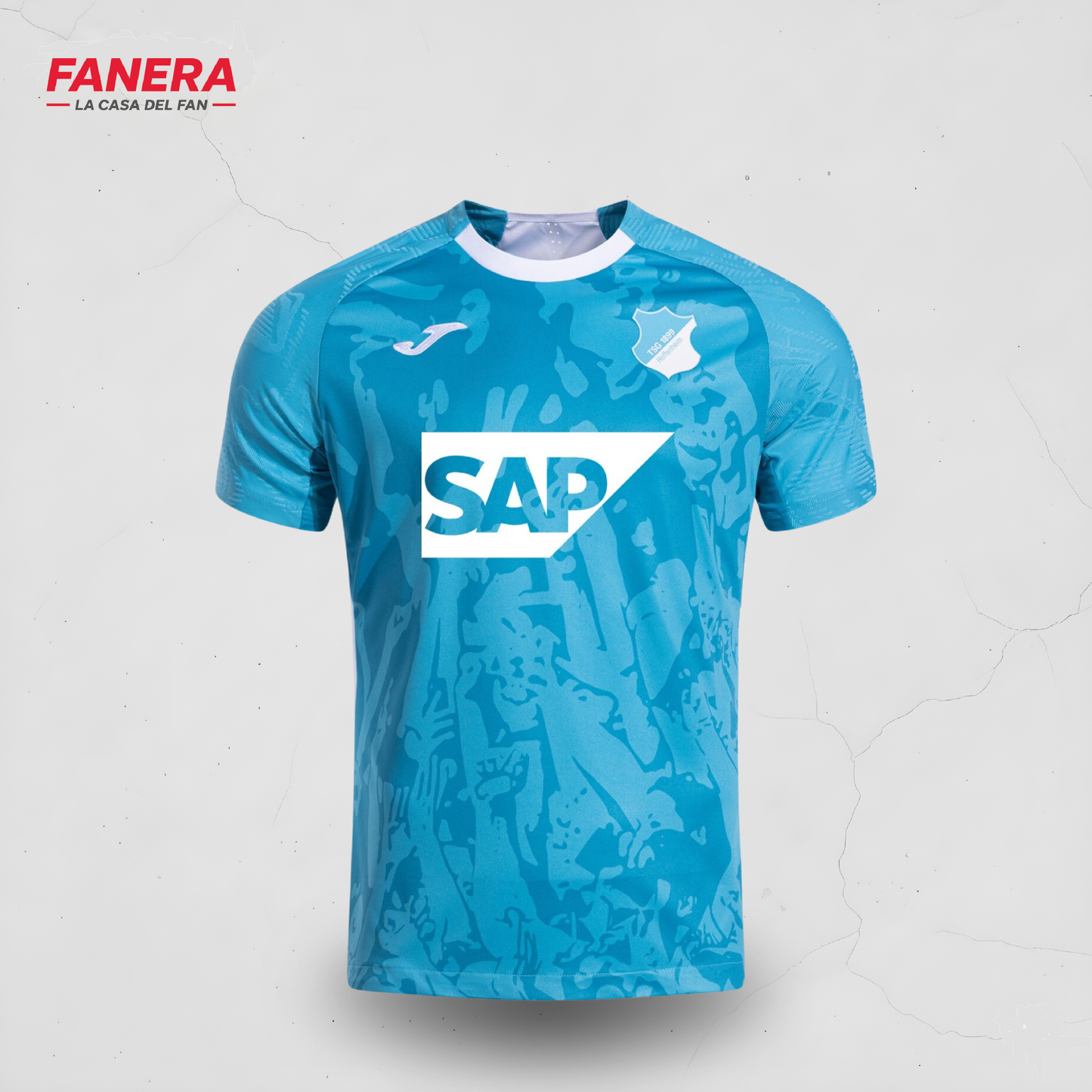 Hoffenheim Visita 25/26