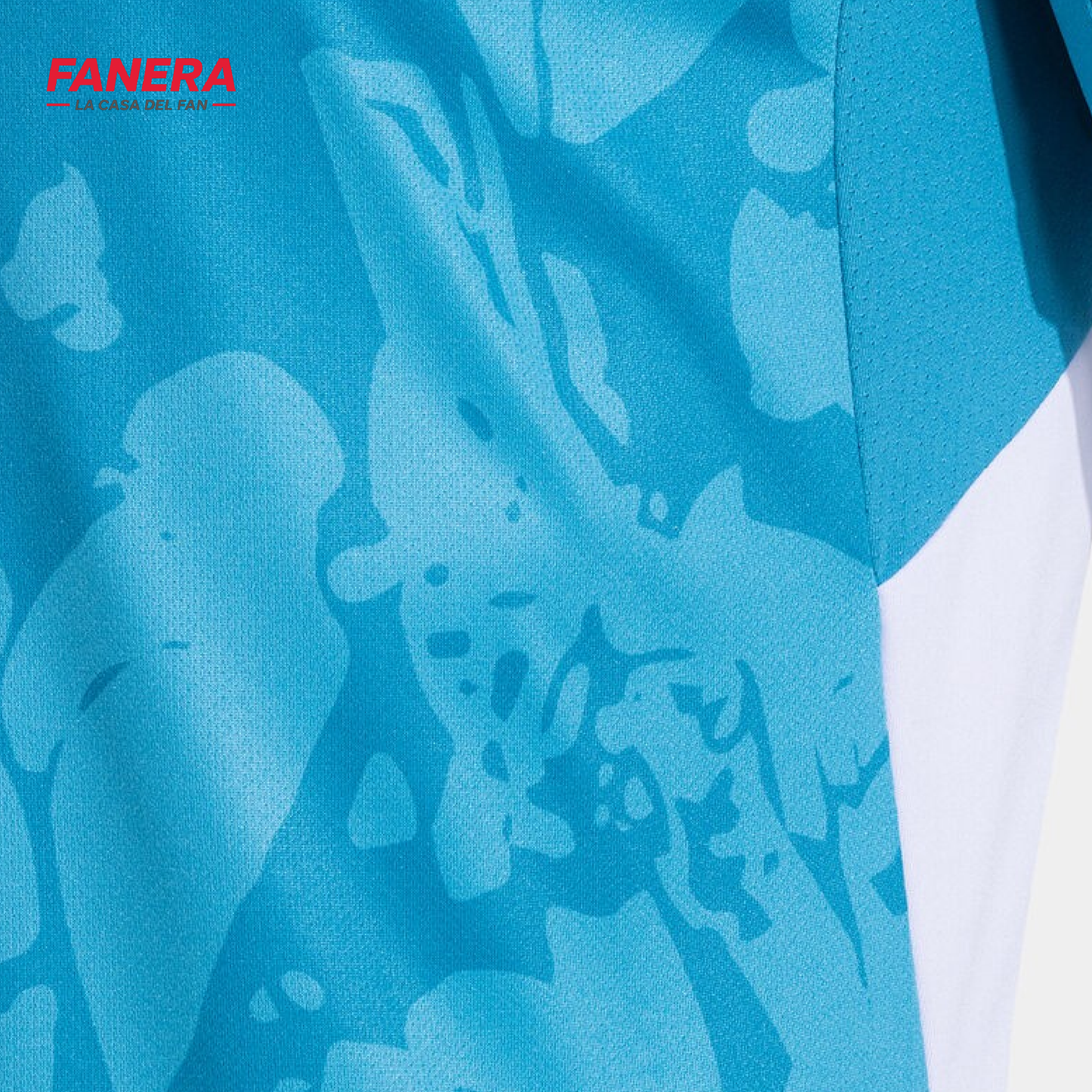 Hoffenheim Visita 25/26
