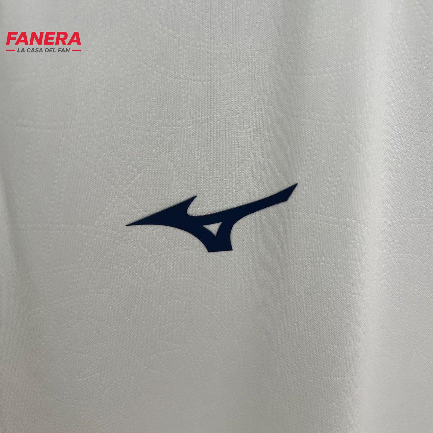 Lazio Visita 25/26