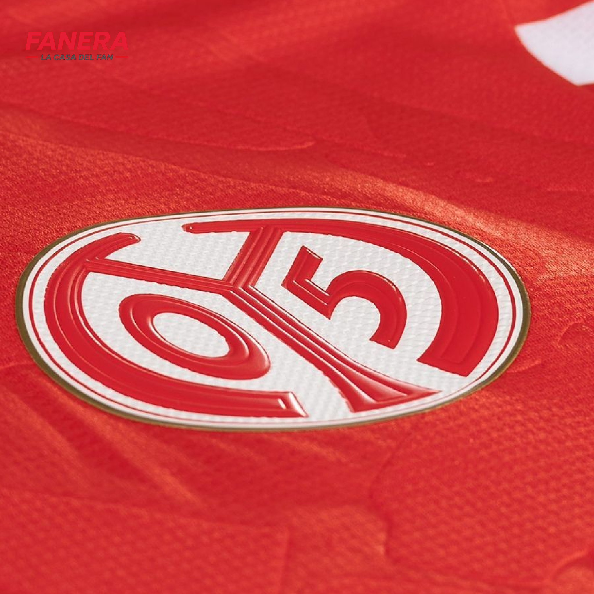 Mainz 05 Local 25/26