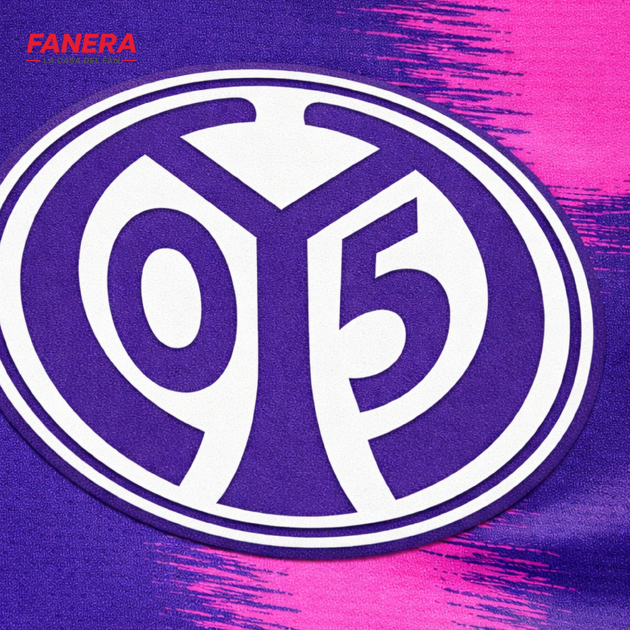 Mainz 05 Visita 25/26