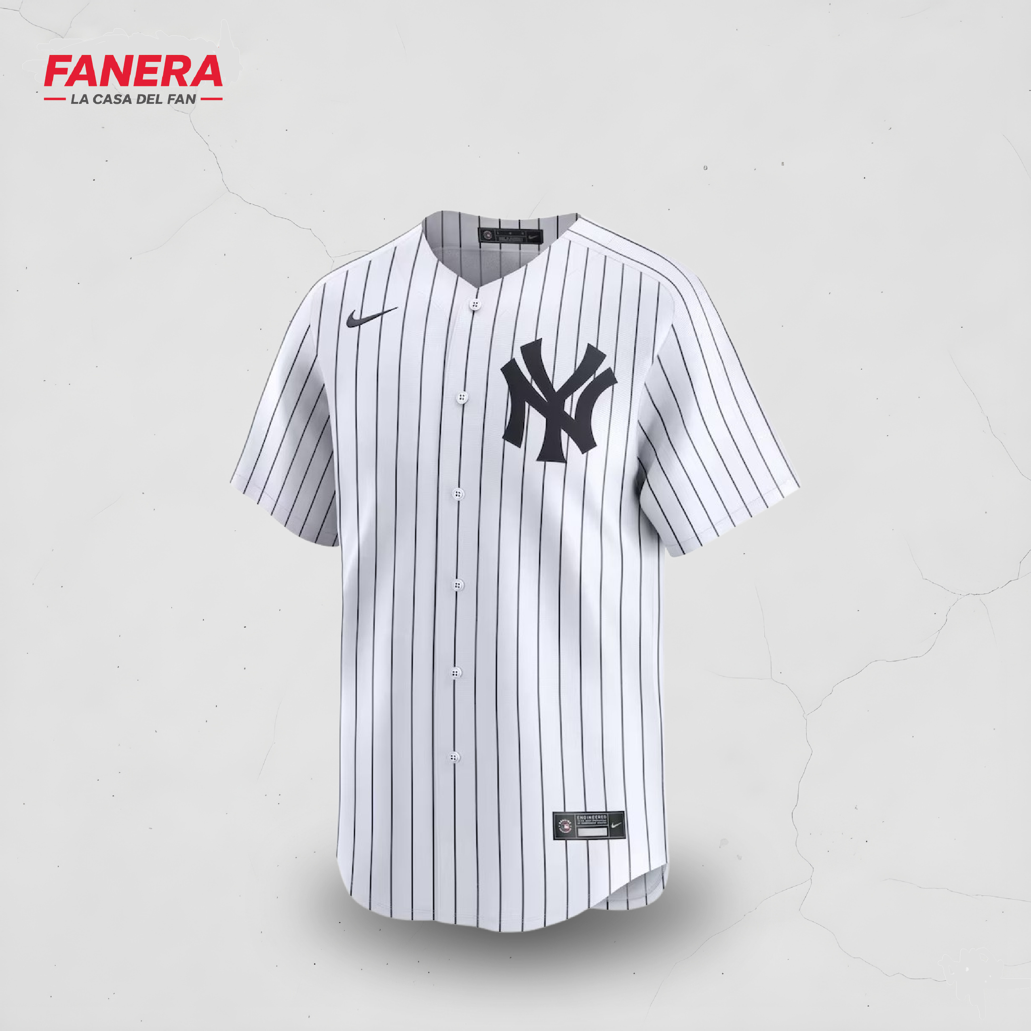 New York Yankees Local 25/26