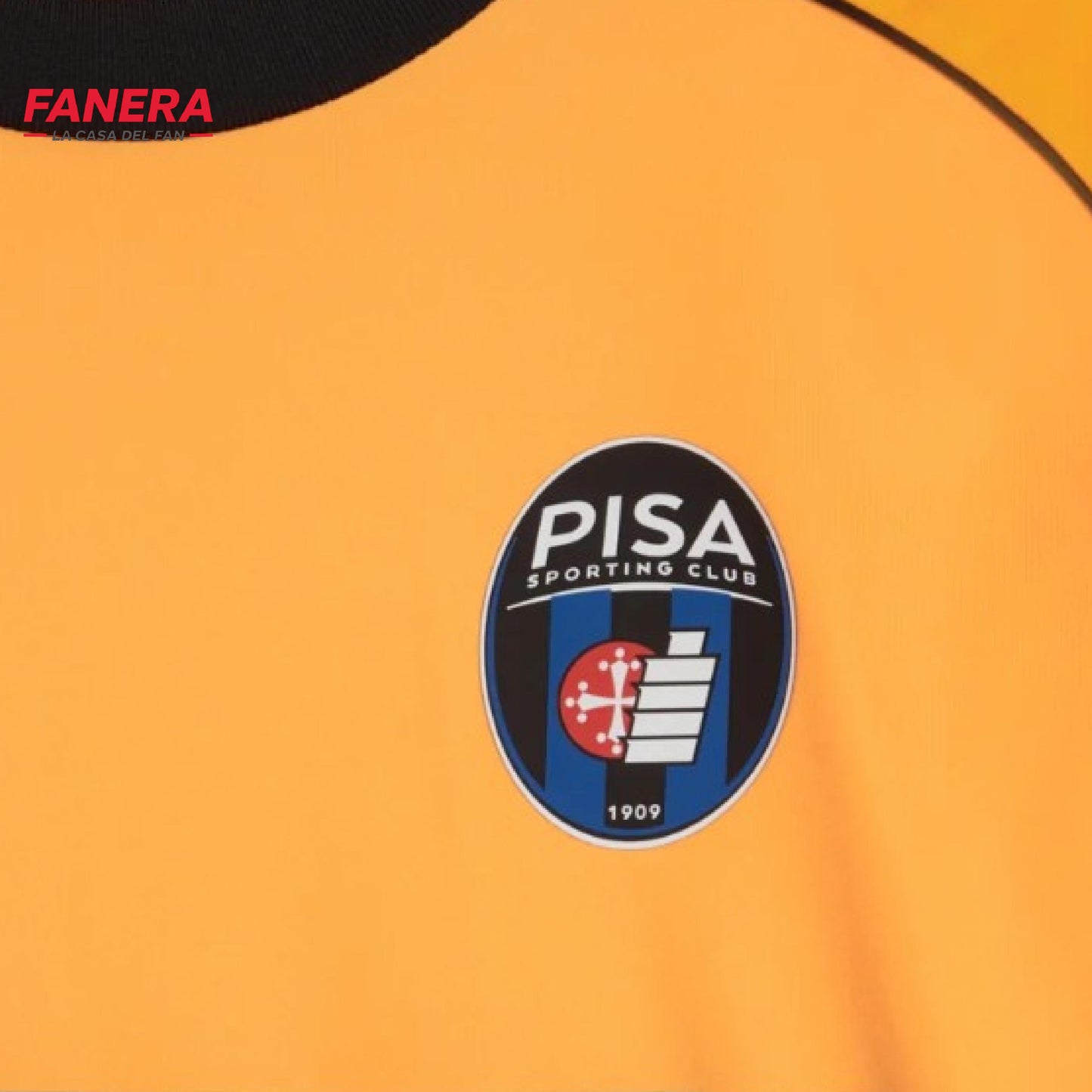 Pisa Visita 25/26