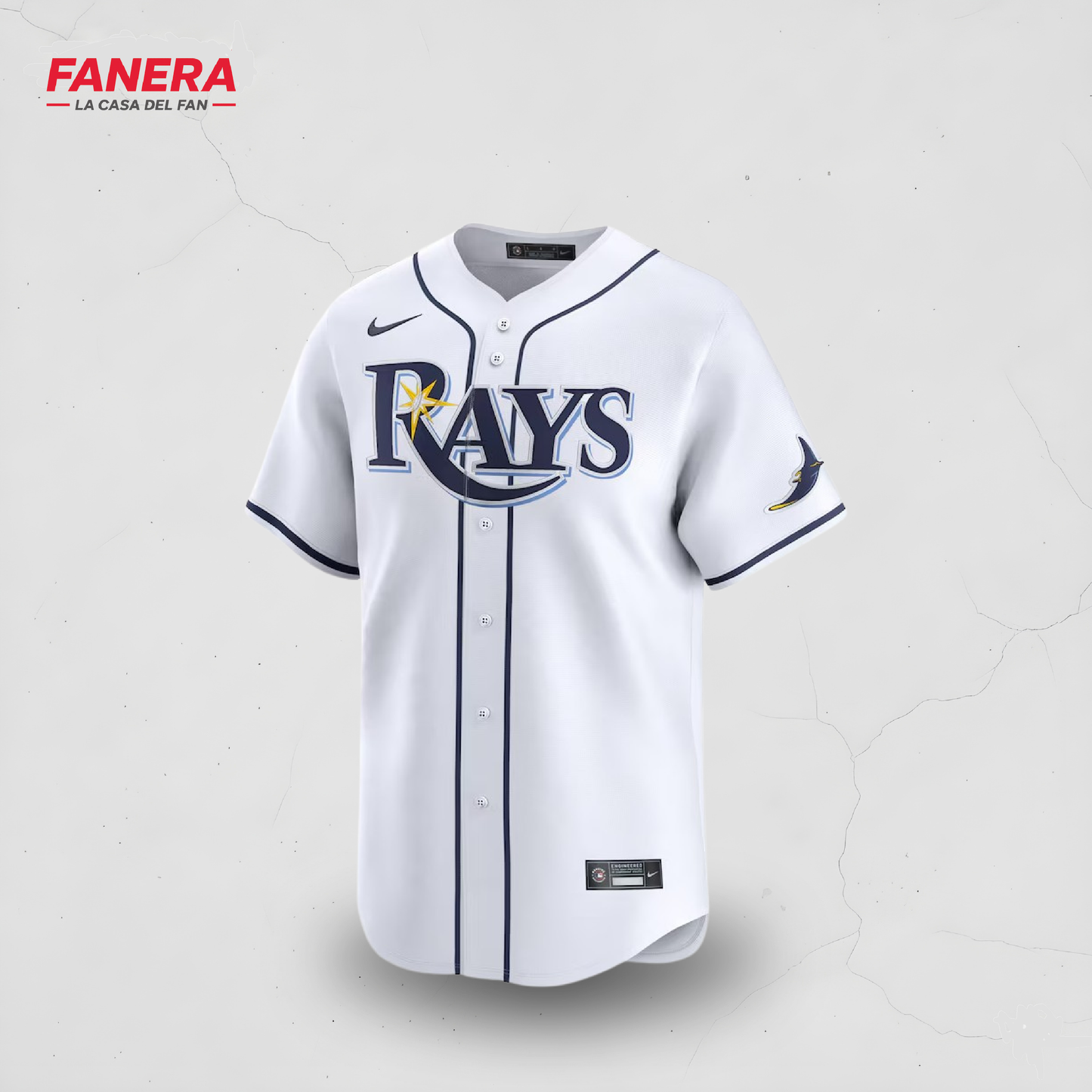 Tampa Bay Rays Local 25/26
