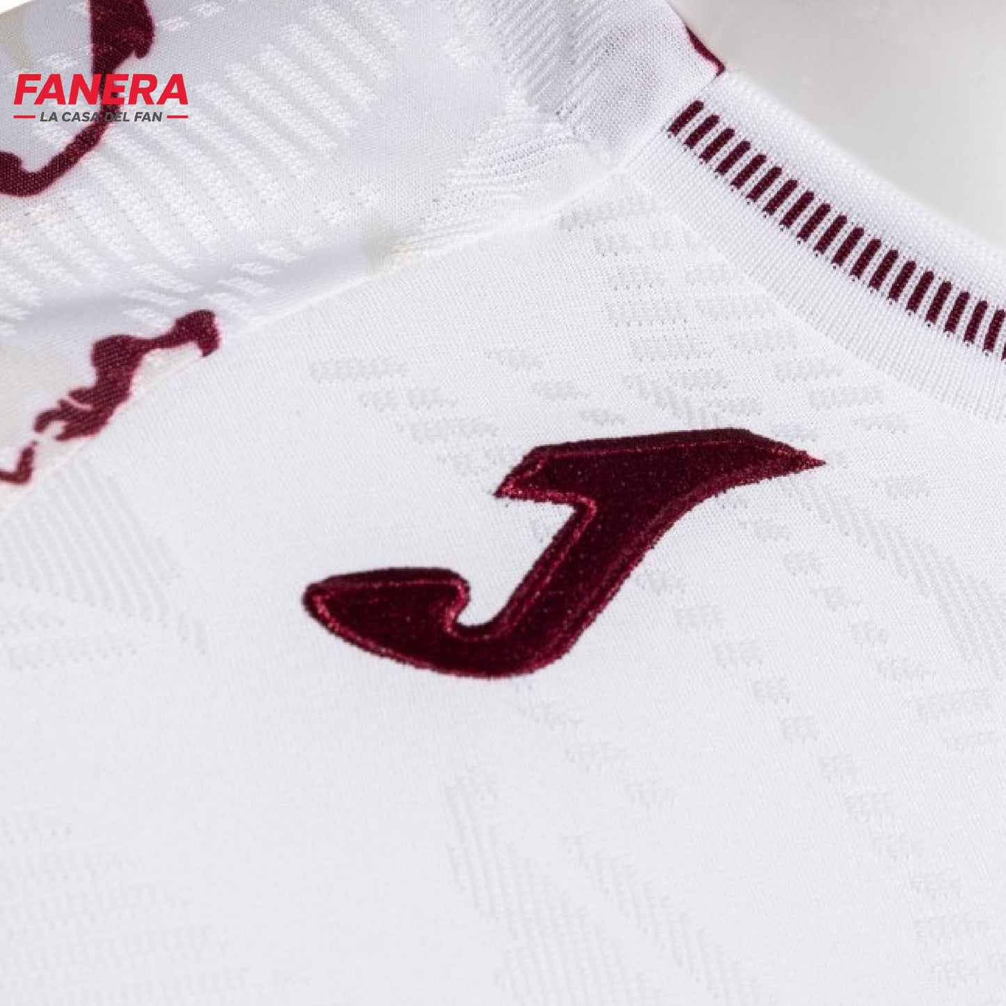 Torino Visita 25/26