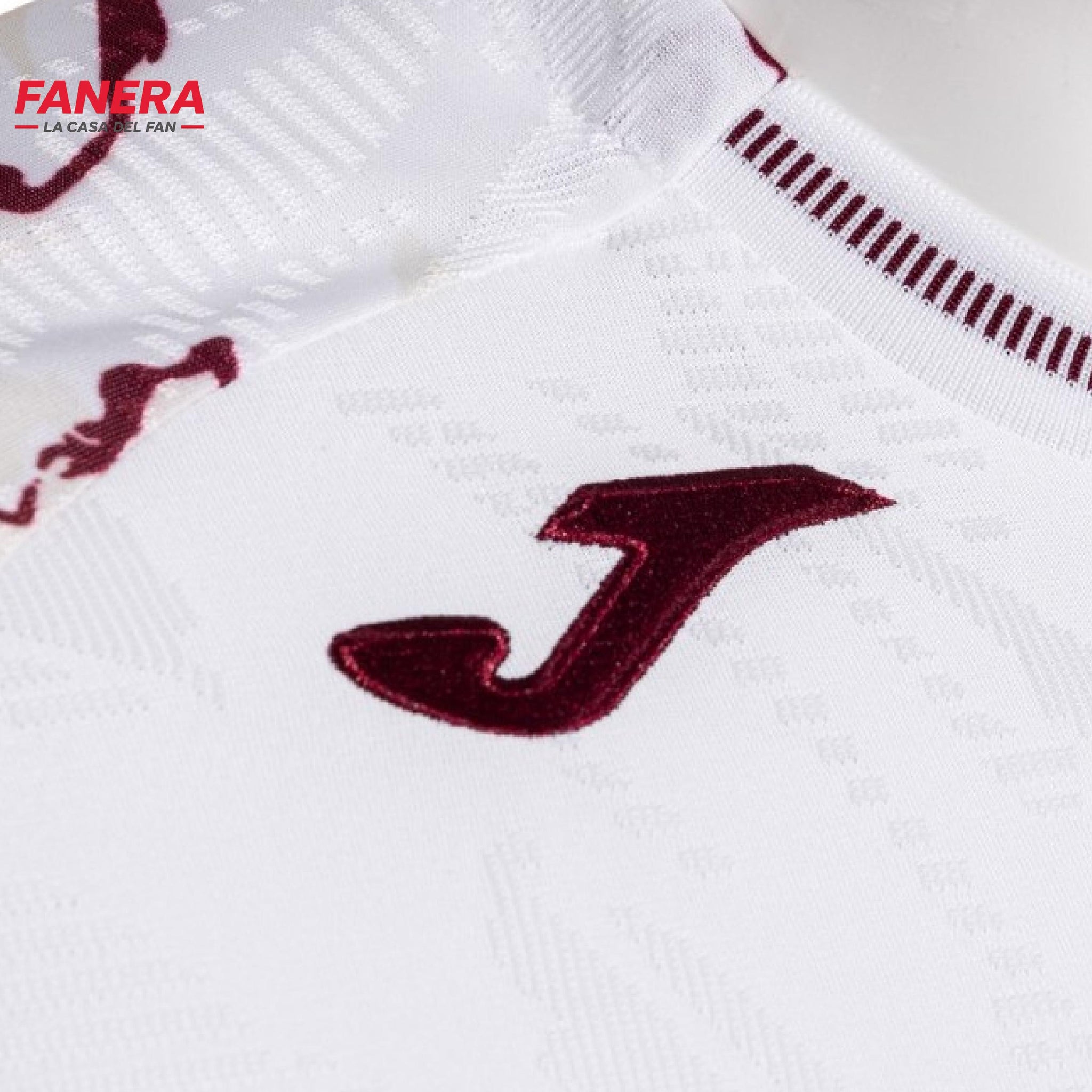 Torino Visita 25/26